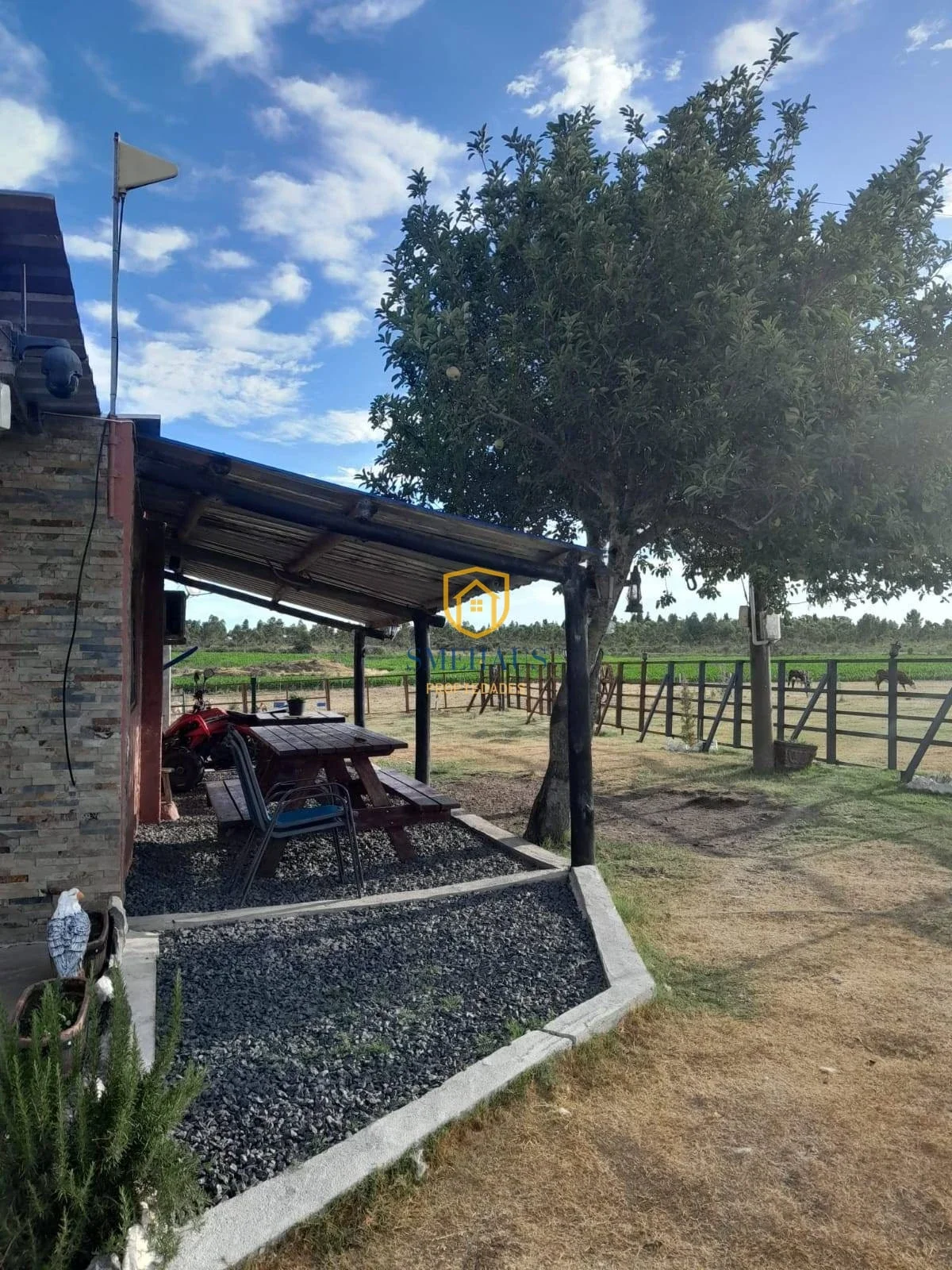 Chacra en venta en San Jacinto - Imagen 3