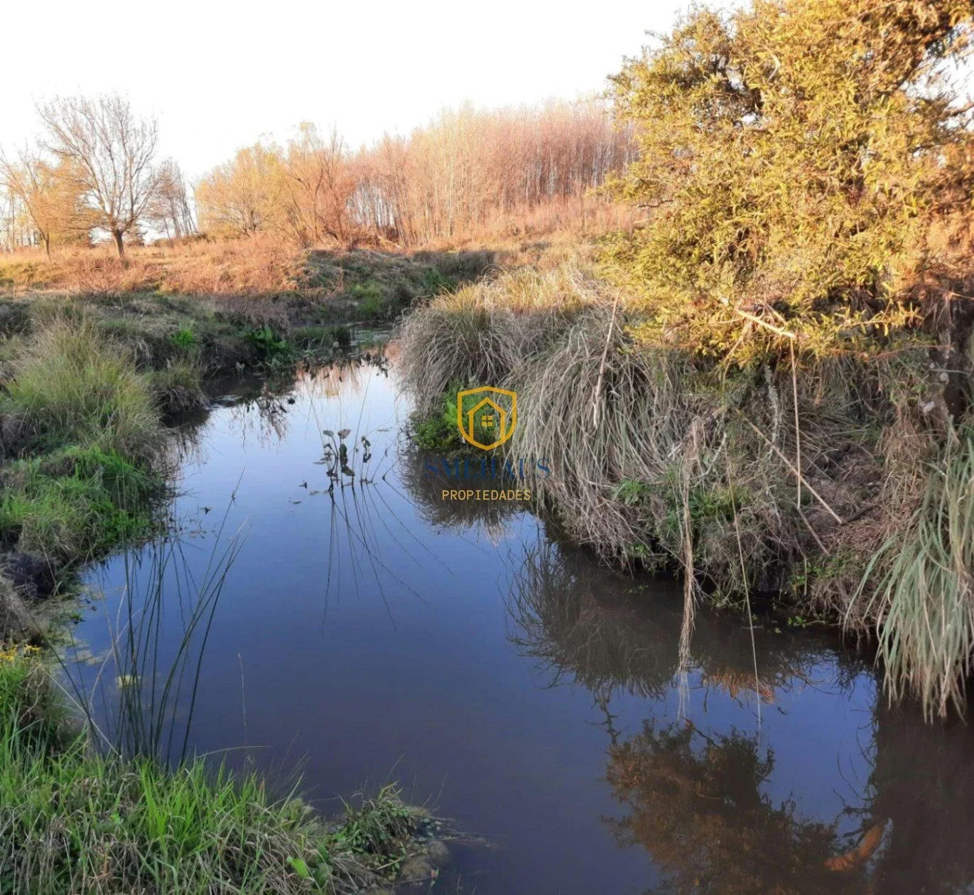 Terreno en venta de 3845m2 ubicado en San Jacinto - Imagen 5