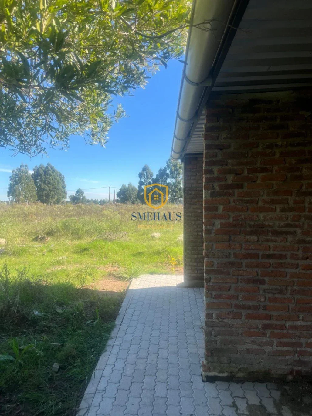 Chacra en venta de 50295m2 ubicado en Toledo - Imagen 3