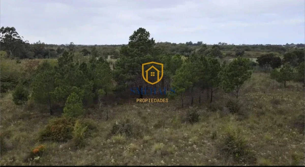 Campo en venta en Joaquín Suárez con 5 Has - Imagen 2