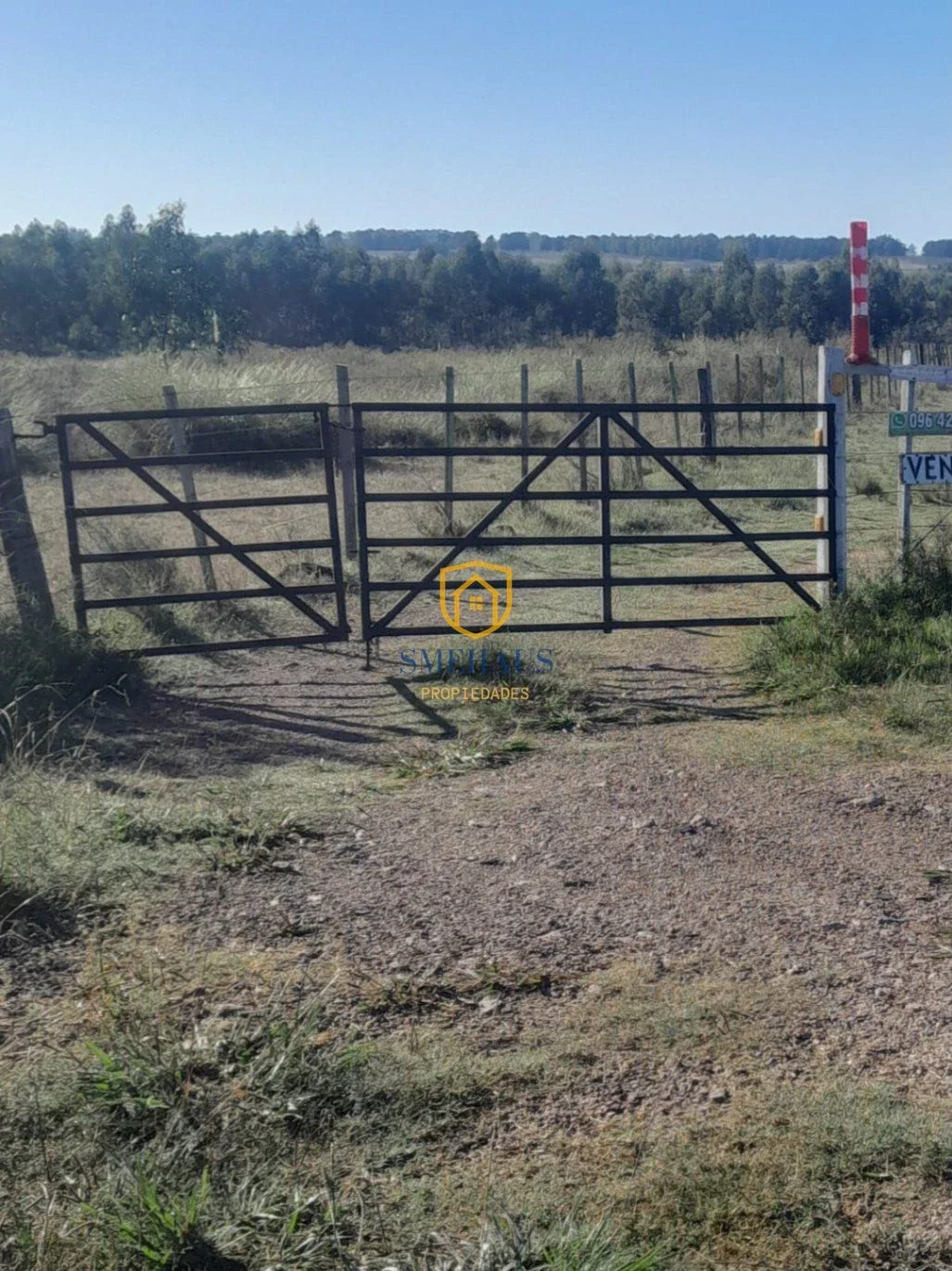 Terreno en venta de 3845m2 ubicado en San Jacinto - Imagen 4