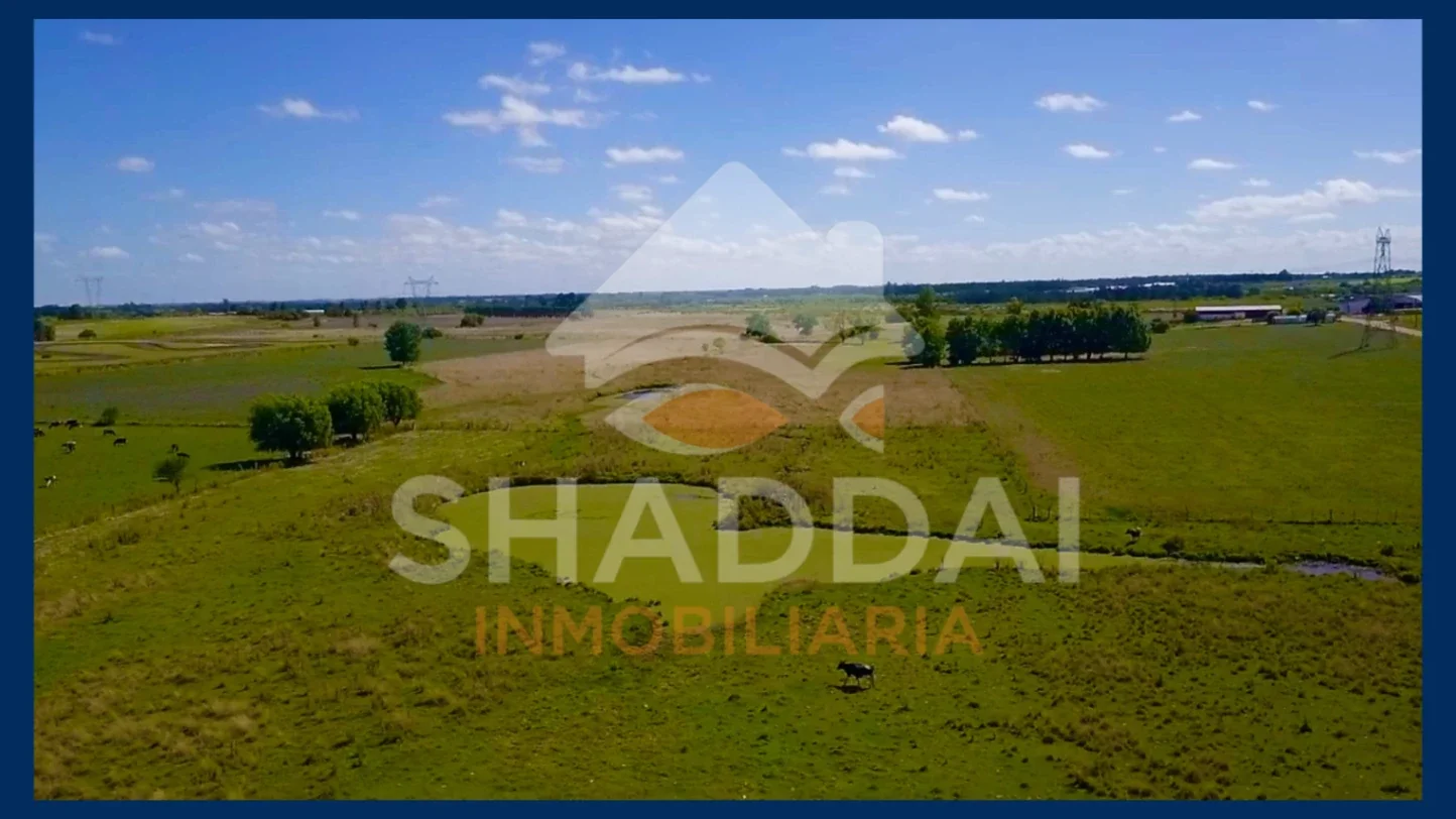 Chacra en venta de 3ha ubicado en Progreso - Imagen 5
