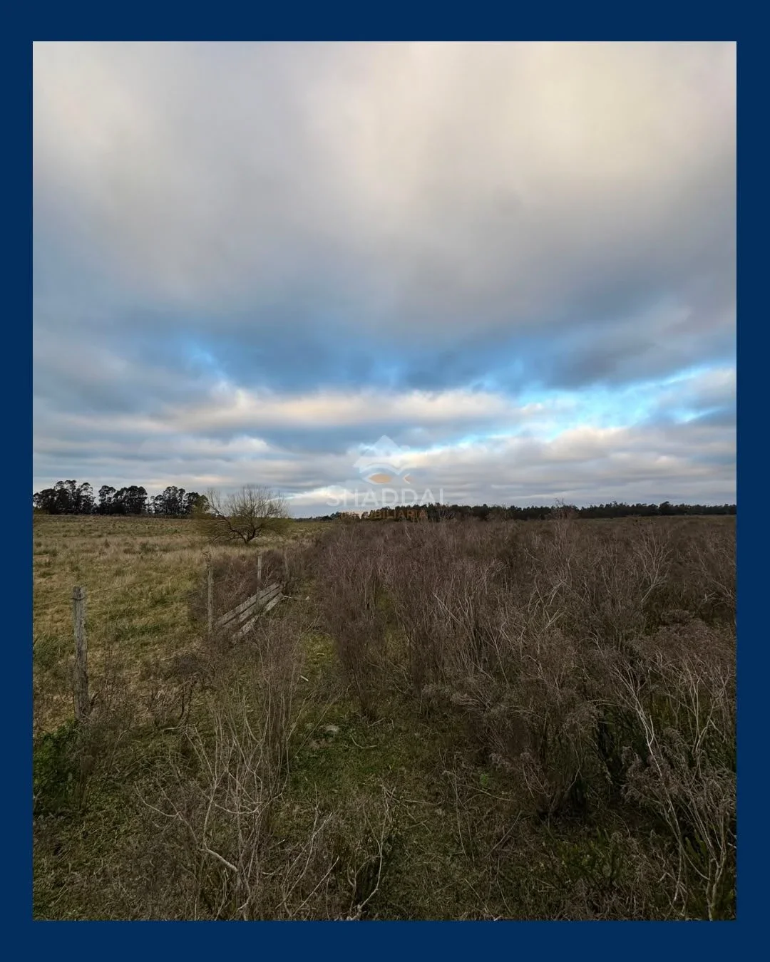 Campo en venta de 3ha ubicado en Sauce - Imagen 2