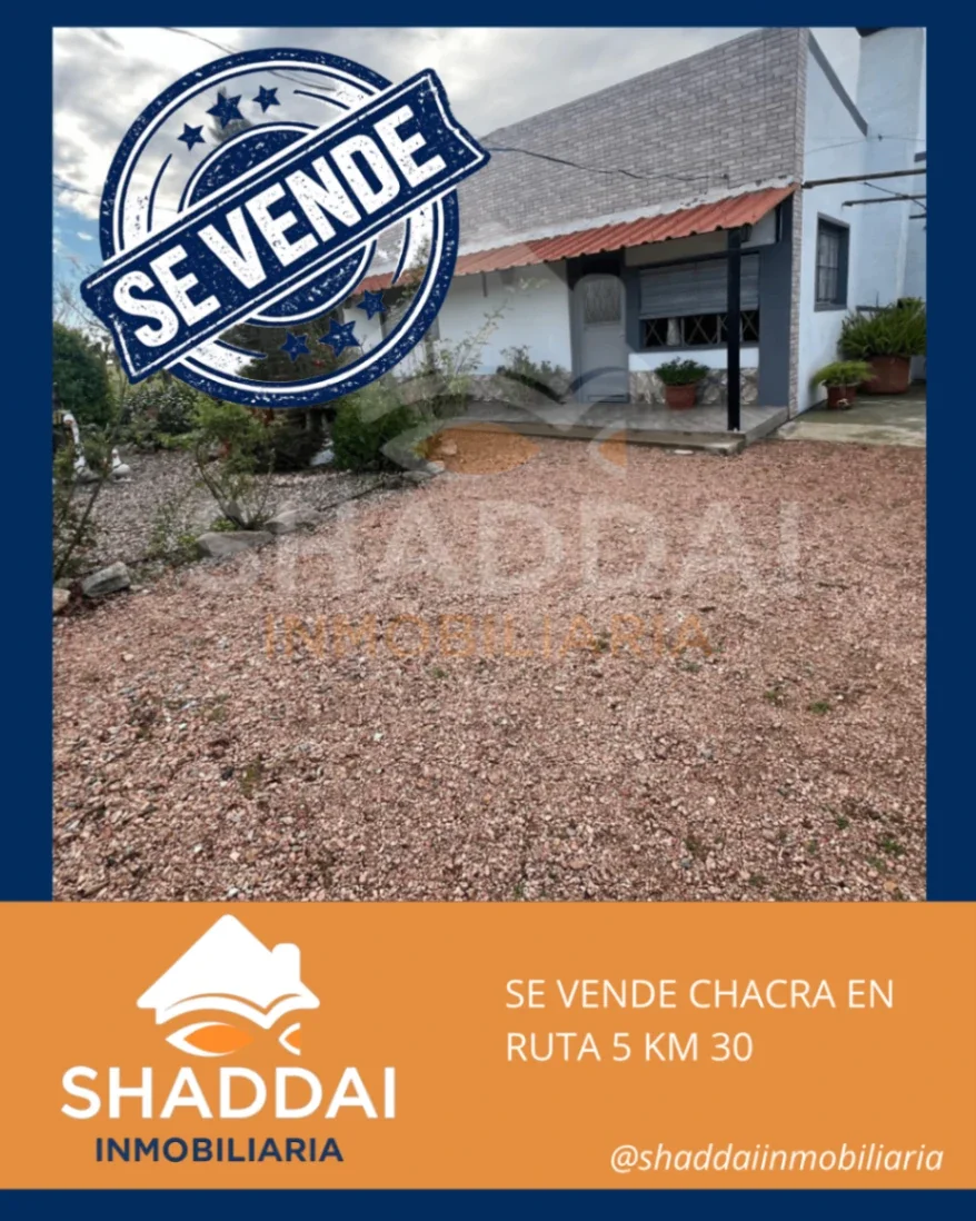 Chacra en venta de 1ha ubicado en Progreso - Imagen 1