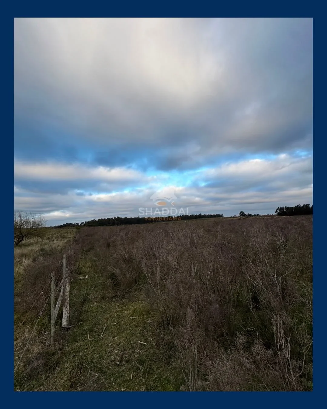 Campo en venta de 3ha ubicado en Sauce - Imagen 4