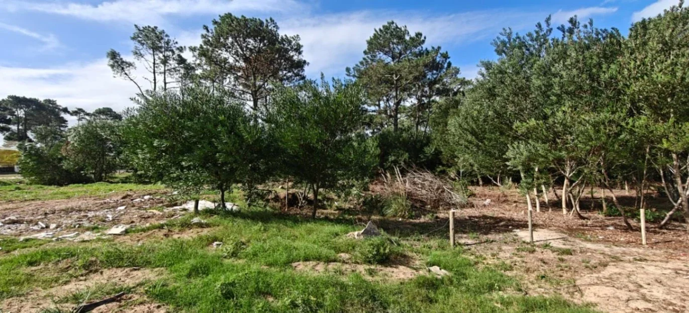Terreno en venta de 520m2 ubicado en La Paloma - Imagen 4
