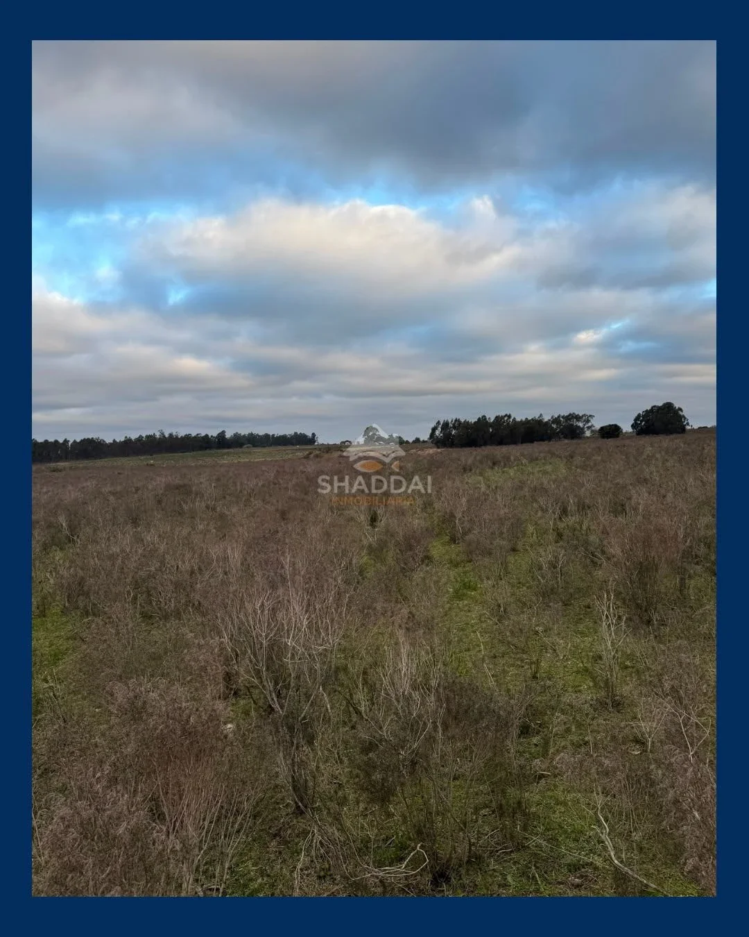 Campo en venta de 3ha ubicado en Sauce - Imagen 5