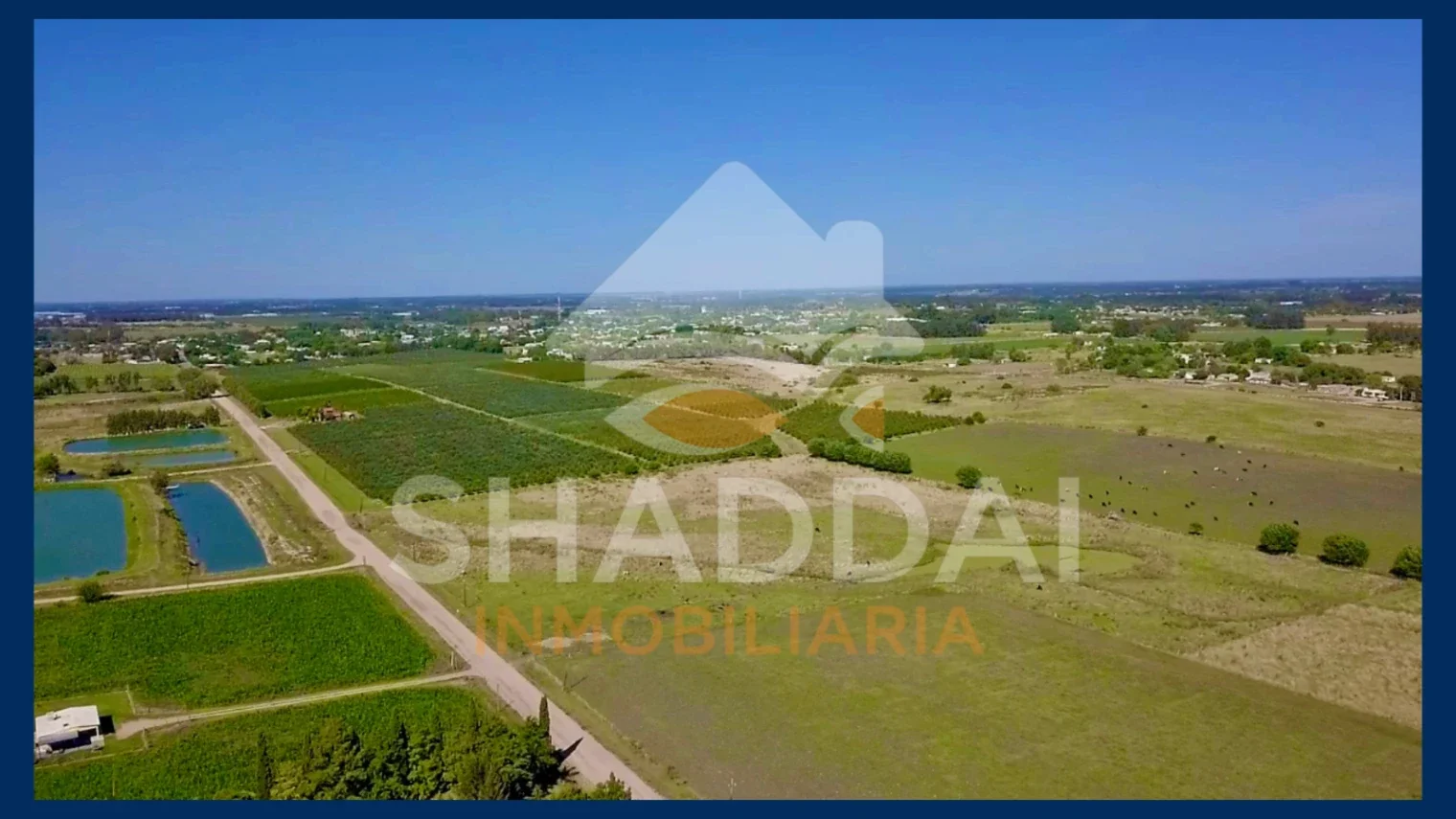 Chacra en venta de 3ha ubicado en Progreso - Imagen 4