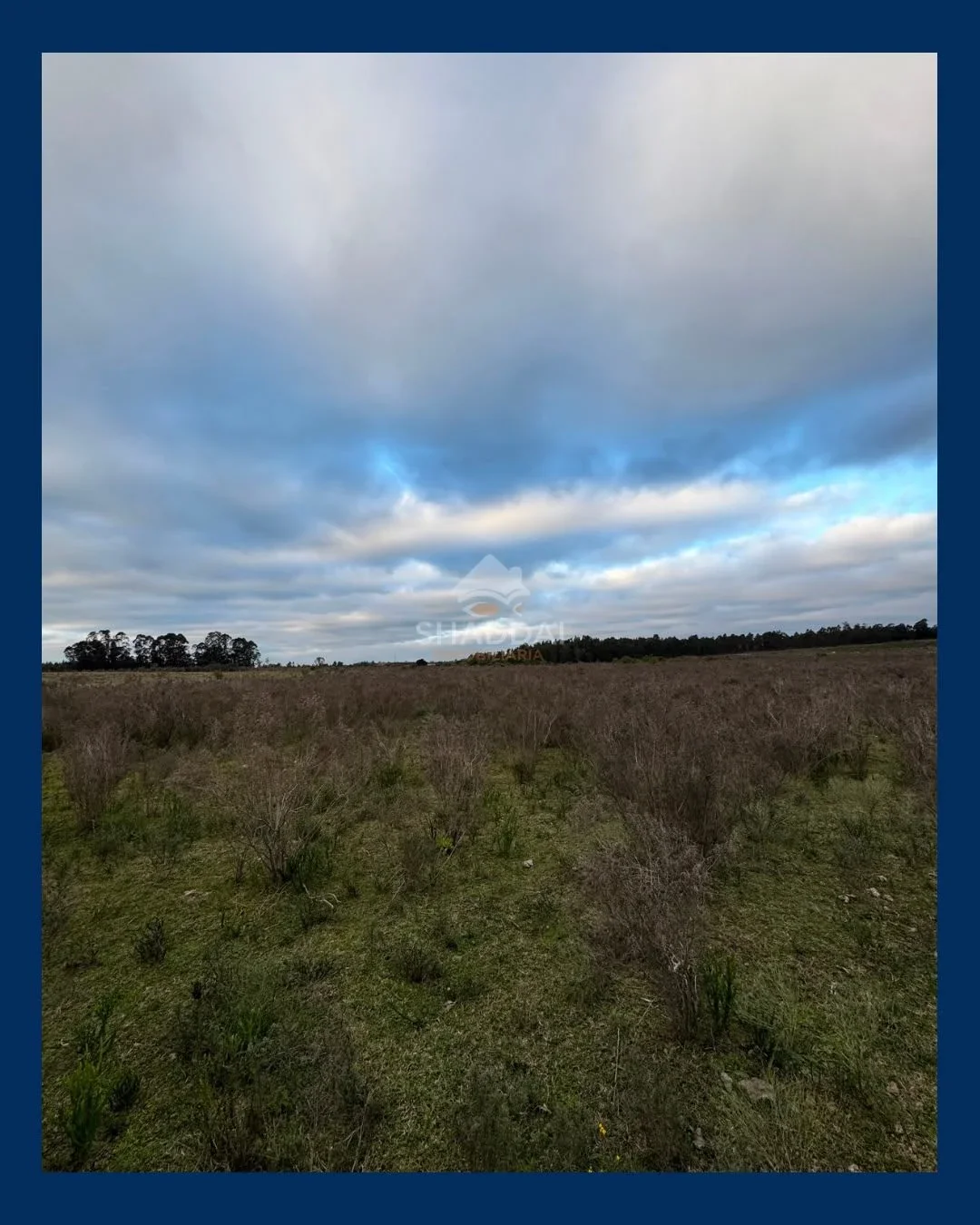 Campo en venta de 3ha ubicado en Sauce - Imagen 3
