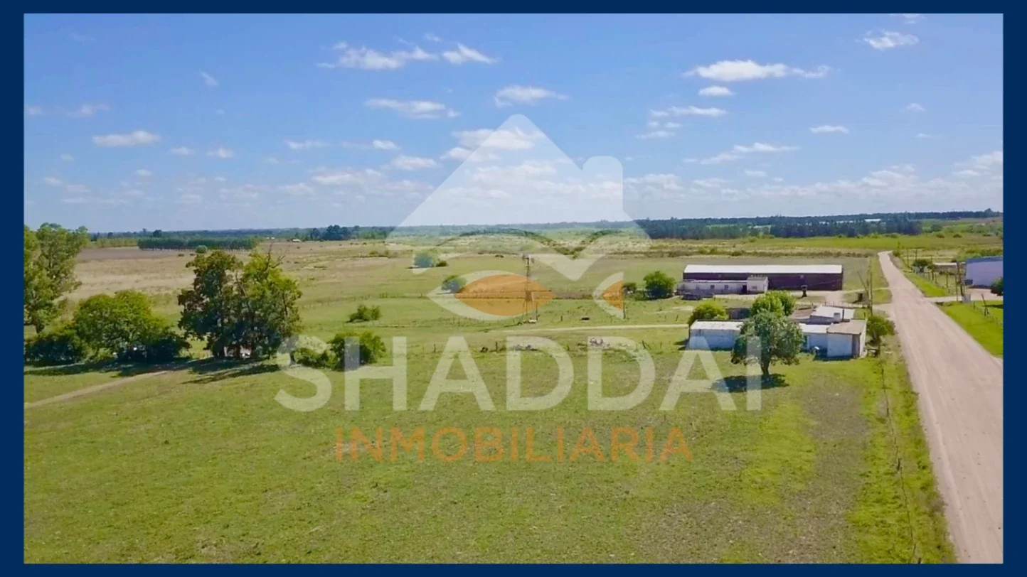 Chacra en venta de 3ha ubicado en Progreso - Imagen 3