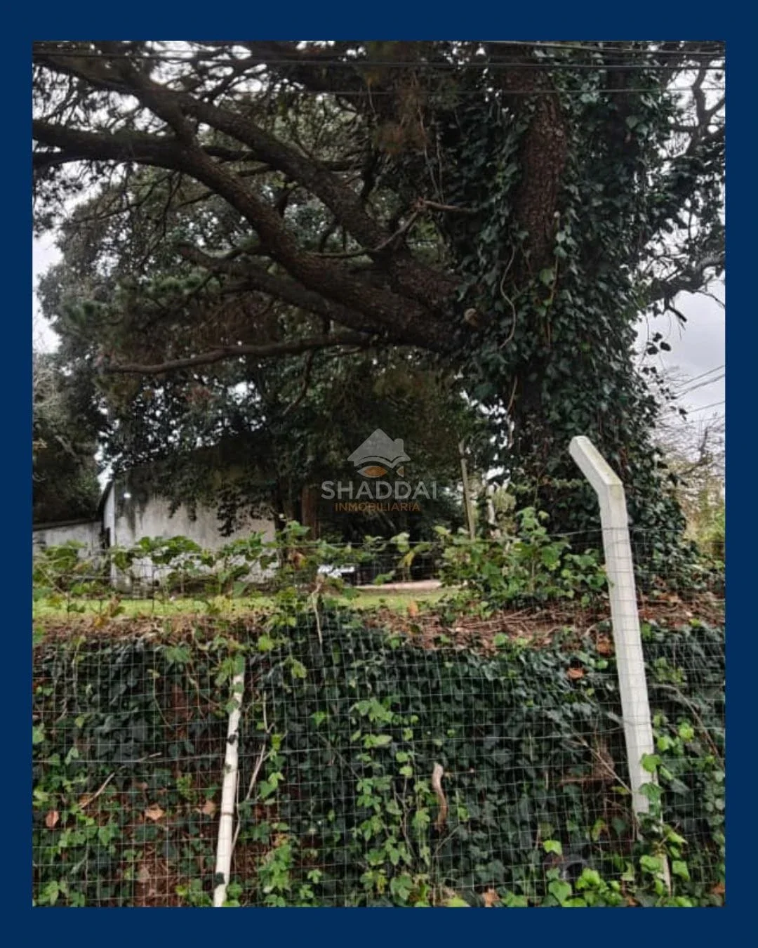 Terreno en venta de 1500m2 ubicado en null - Imagen 3