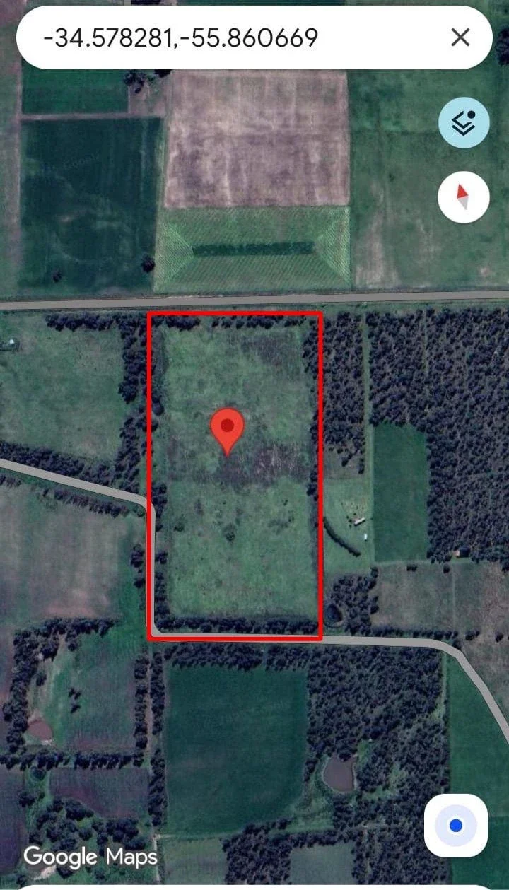 Chacra en venta de 7ha ubicado en San Jacinto - Imagen 3