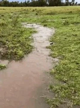 Chacra en venta de 7ha ubicado en San Jacinto - Imagen 4