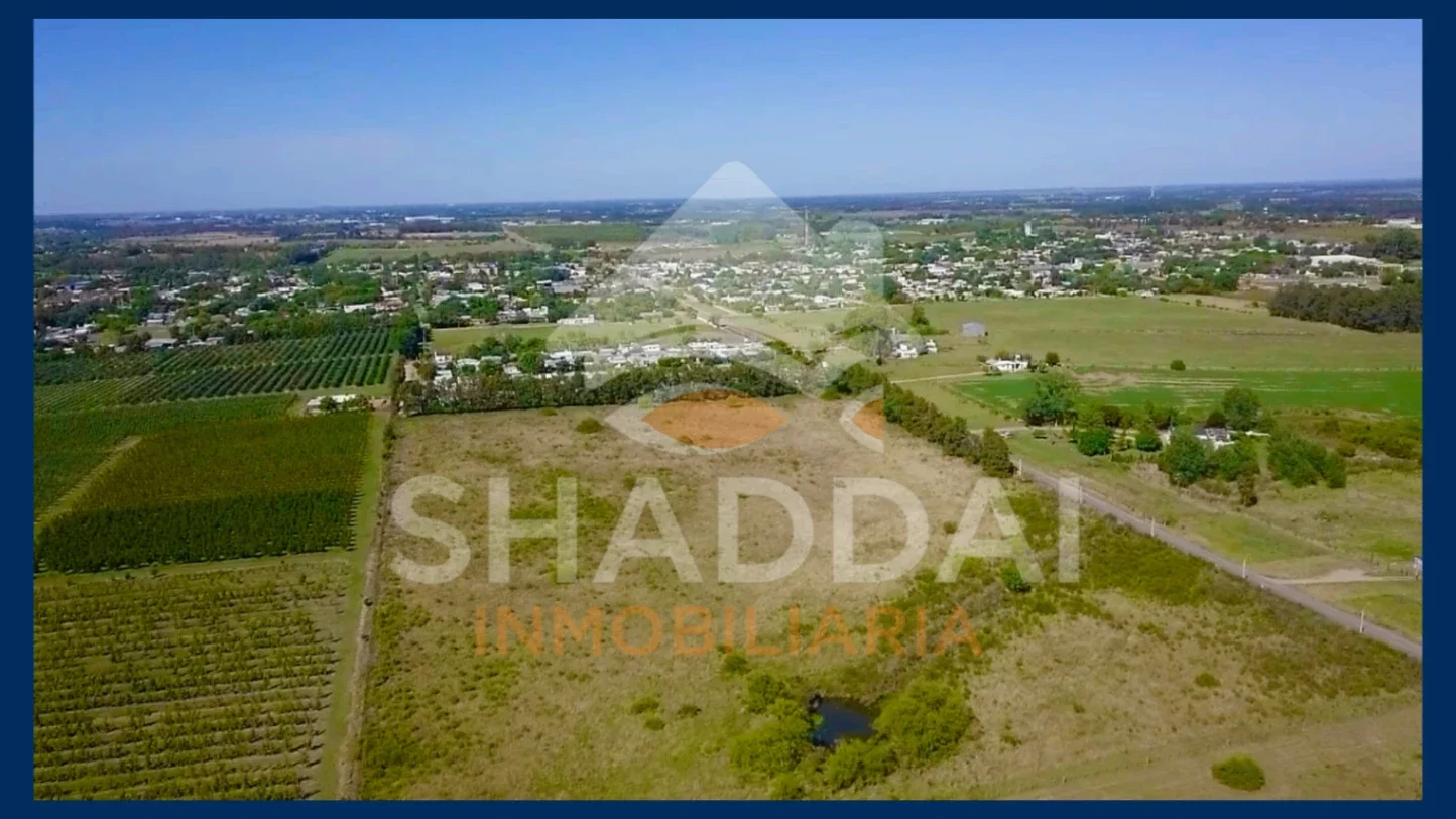 Chacra en venta de 3ha ubicado en Progreso - Imagen 2