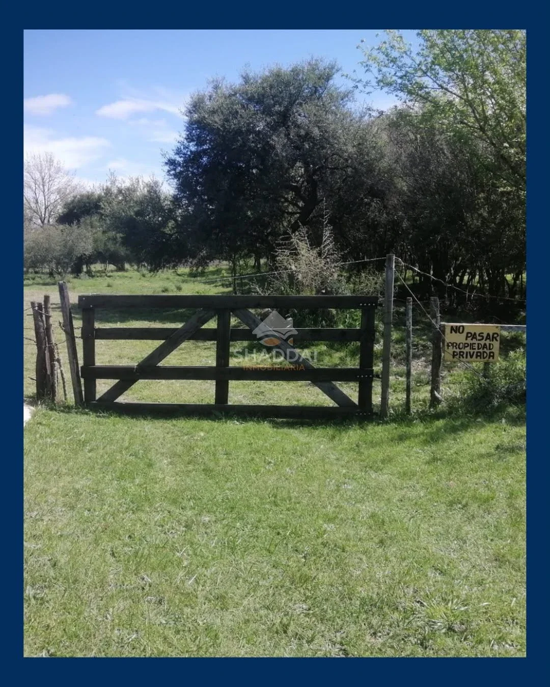 Chacra en venta de 4ha ubicado en Pachina - Imagen 3