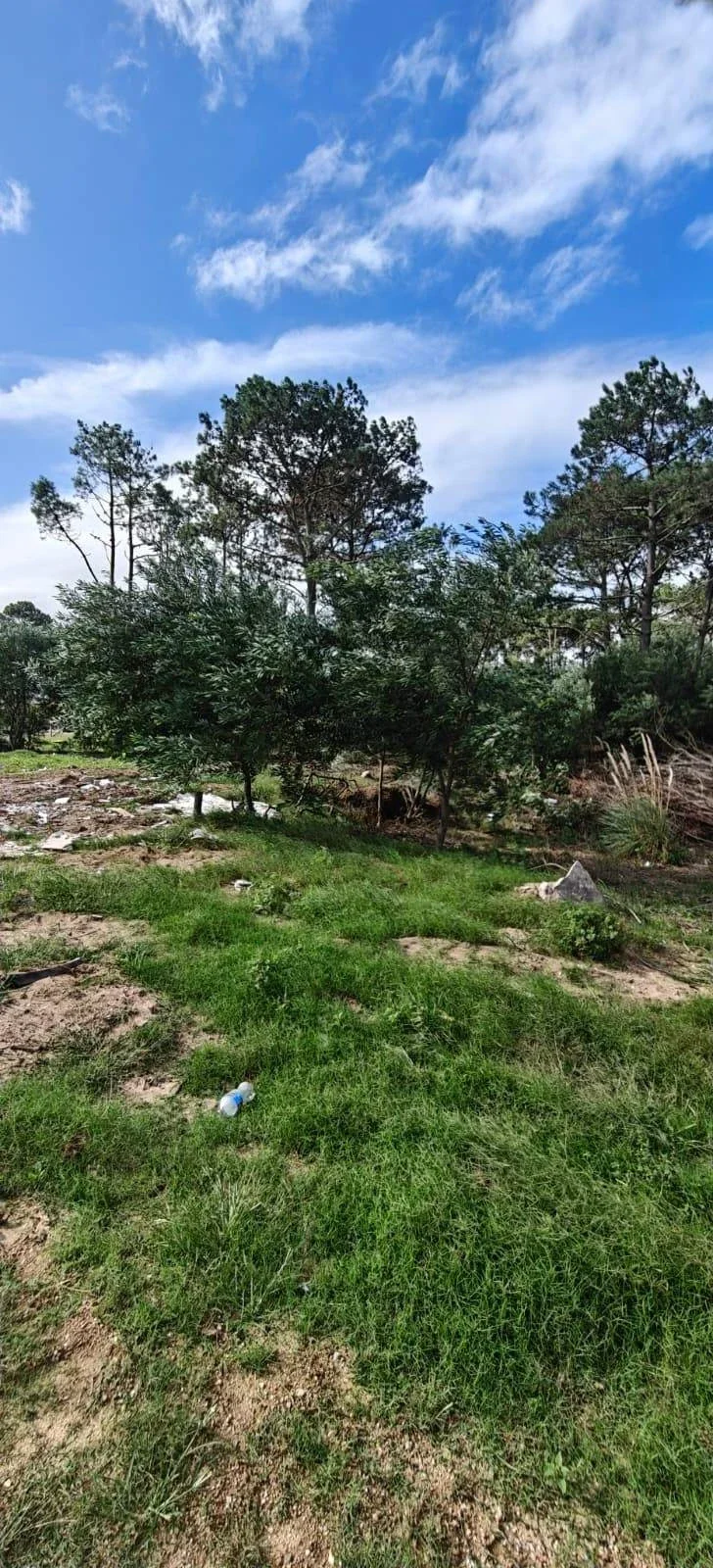 Terreno en venta de 520m2 ubicado en La Paloma - Imagen 5