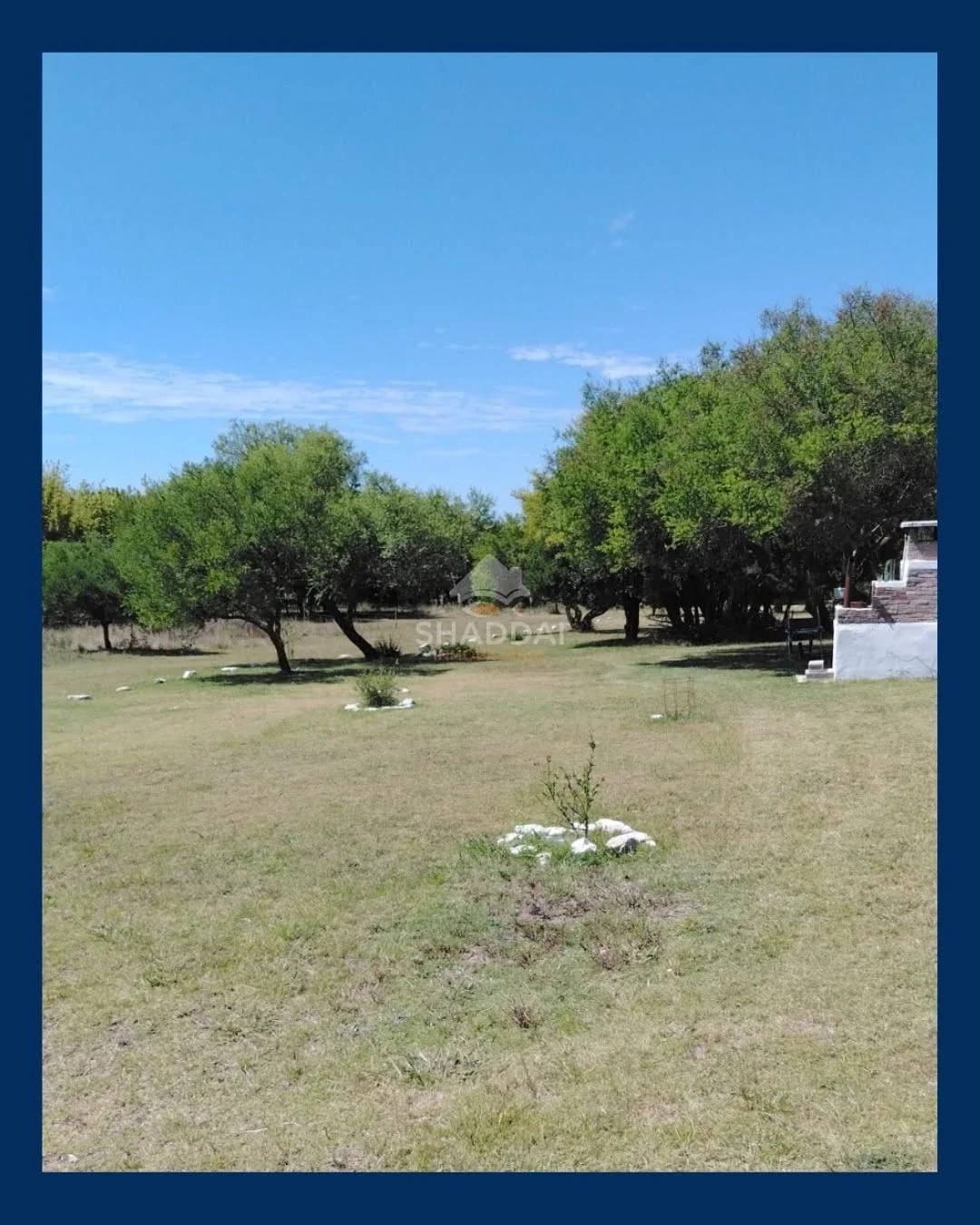 Chacra en venta de 4ha ubicado en Pachina - Imagen 2