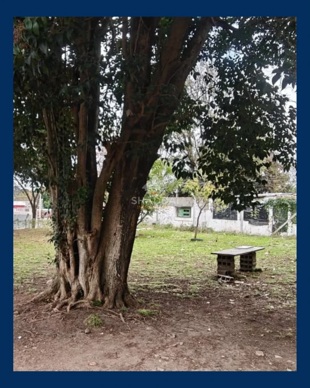 Terreno en venta de 1500m2 ubicado en null - Imagen 4