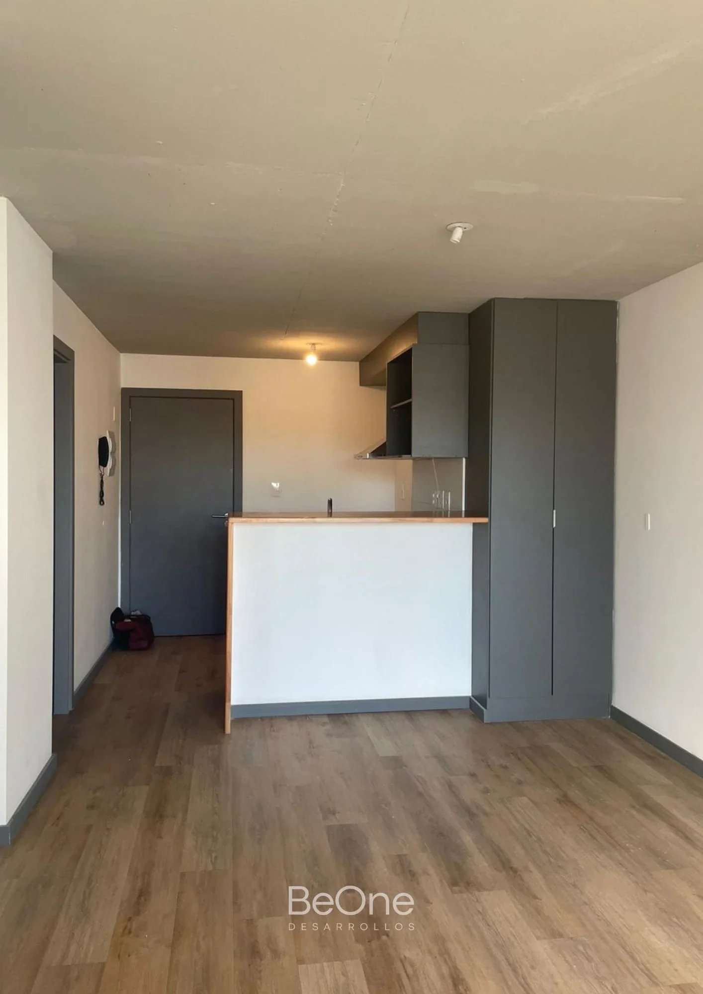 ALQUILER APARTAMENTO 1 DORMITORIO, GARAJE, AMPLIOS ESPACIOS DE ENTRENAMIENTO - Imagen 3