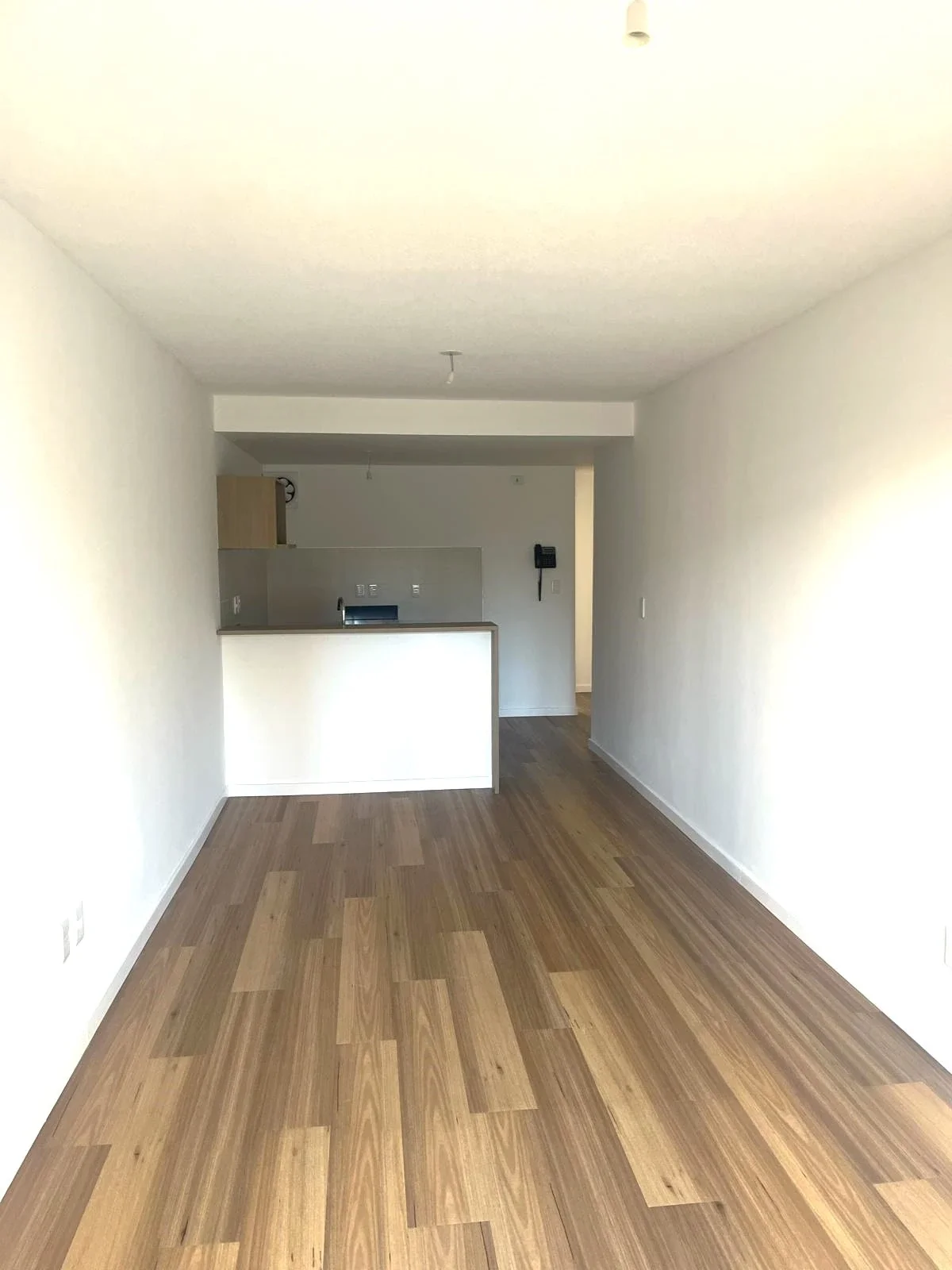 ALQUILER APARTAMENTO DOS DORMITORIOS EN CORDÓN SUR - Imagen 4