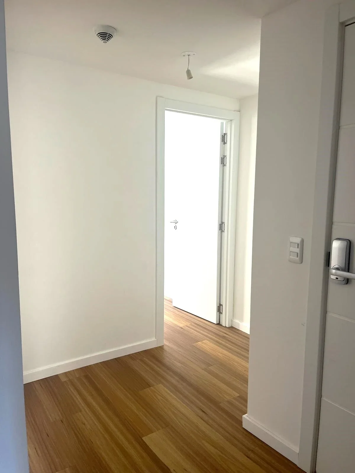ALQUILER APARTAMENTO DOS DORMITORIOS EN CORDÓN SUR - Imagen 3