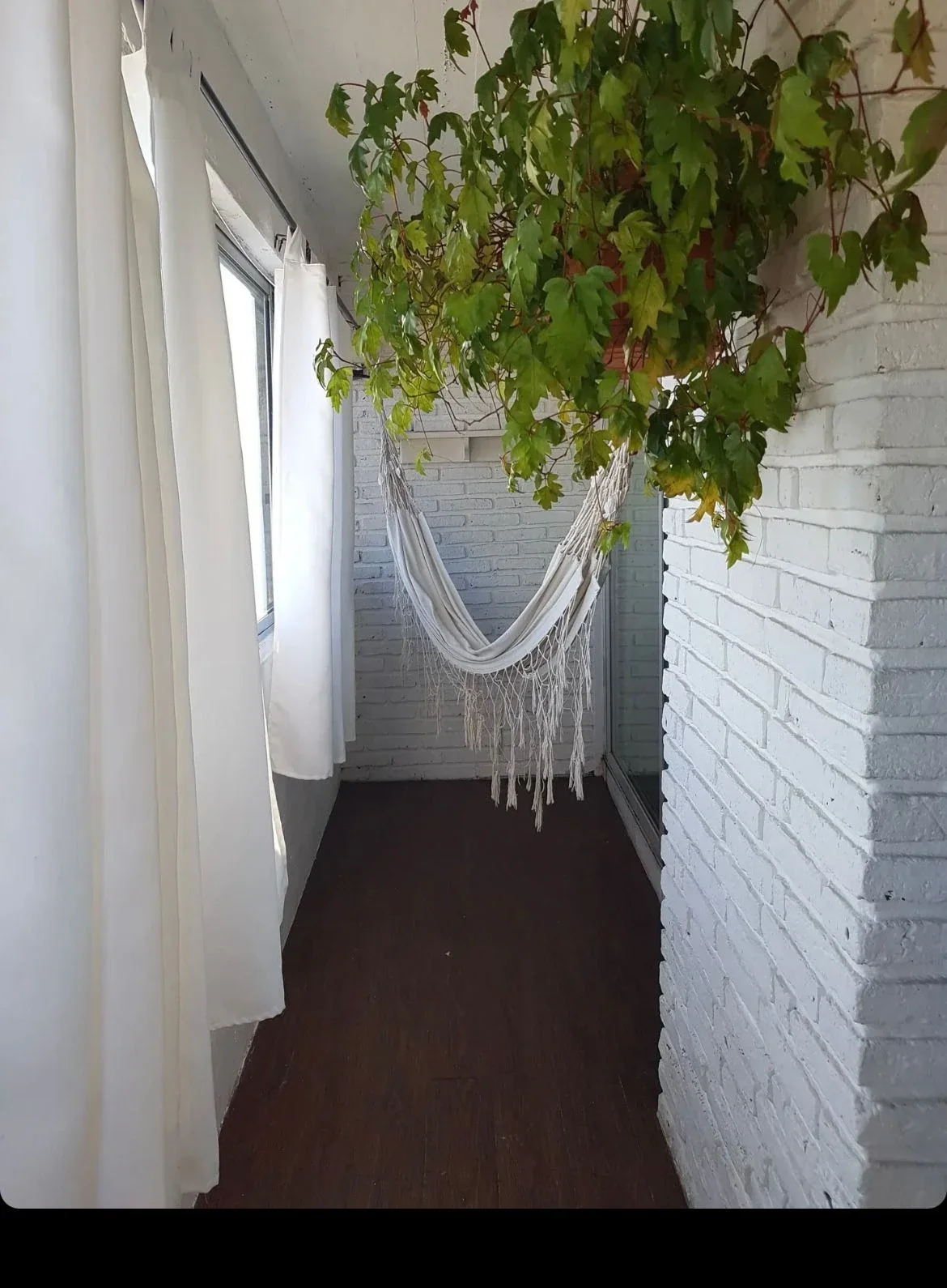 Apartamento en alquiler en Paso Molino - Imagen 2