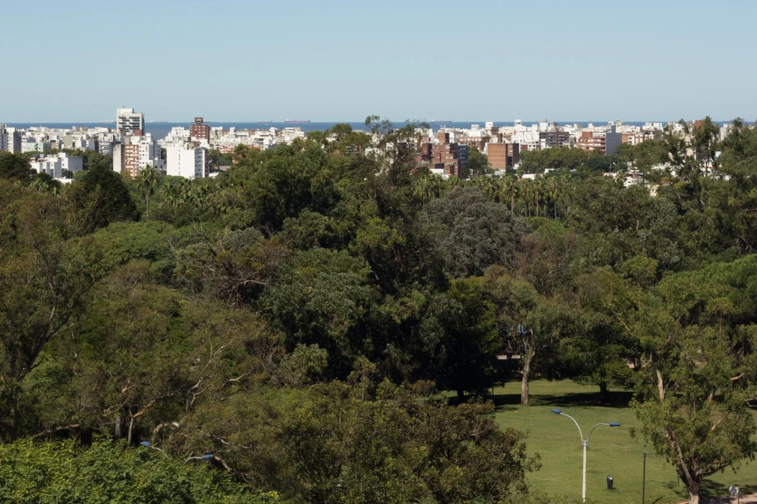 Apartamento de 2 dormitorios en alquiler c/ cochera en Parque Batlle - Imagen 4
