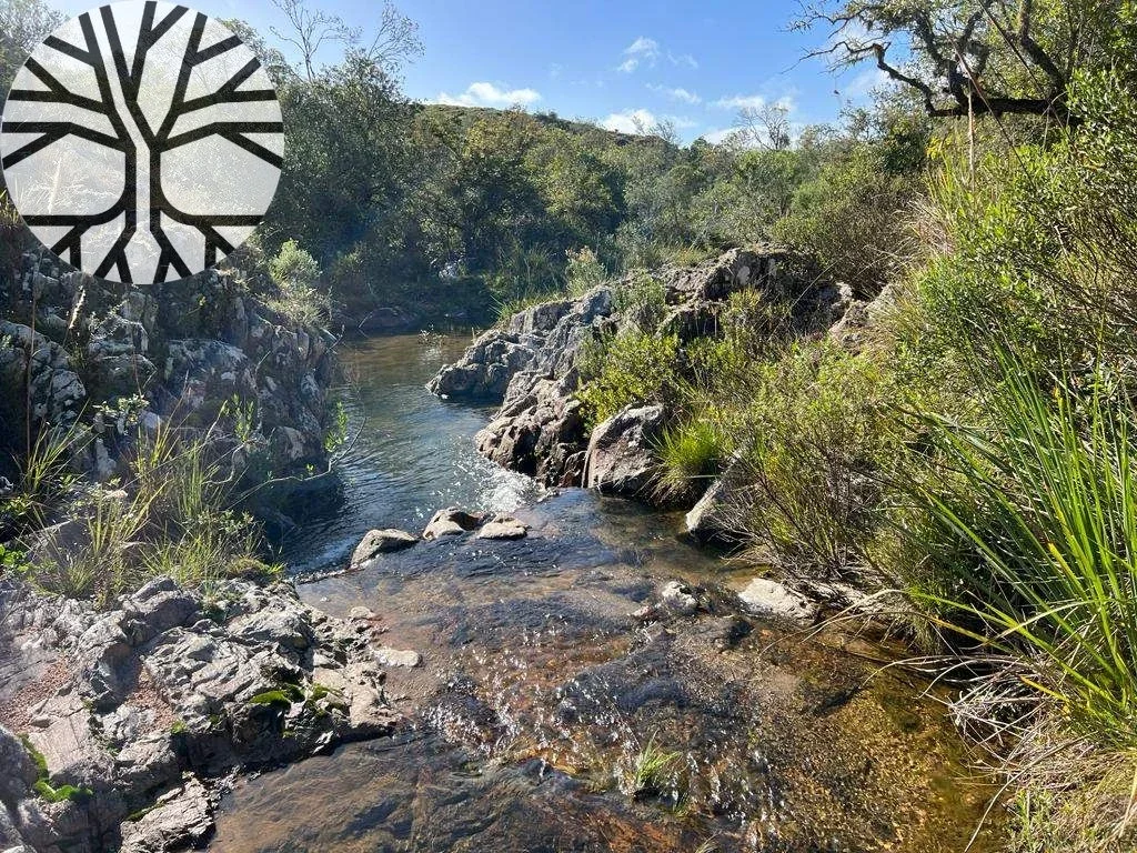 Chacra en venta de 5ha ubicado en Altos de José Ignacio - - Imagen 1