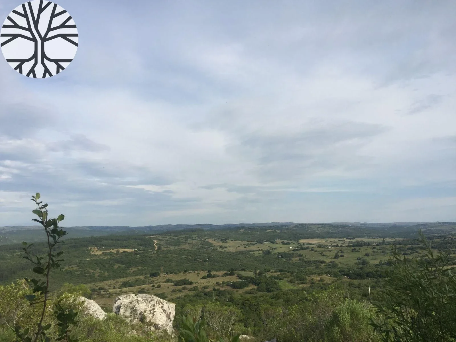 Chacra en venta de 6ha ubicado en la Coronilla - Maldonado - Imagen 4