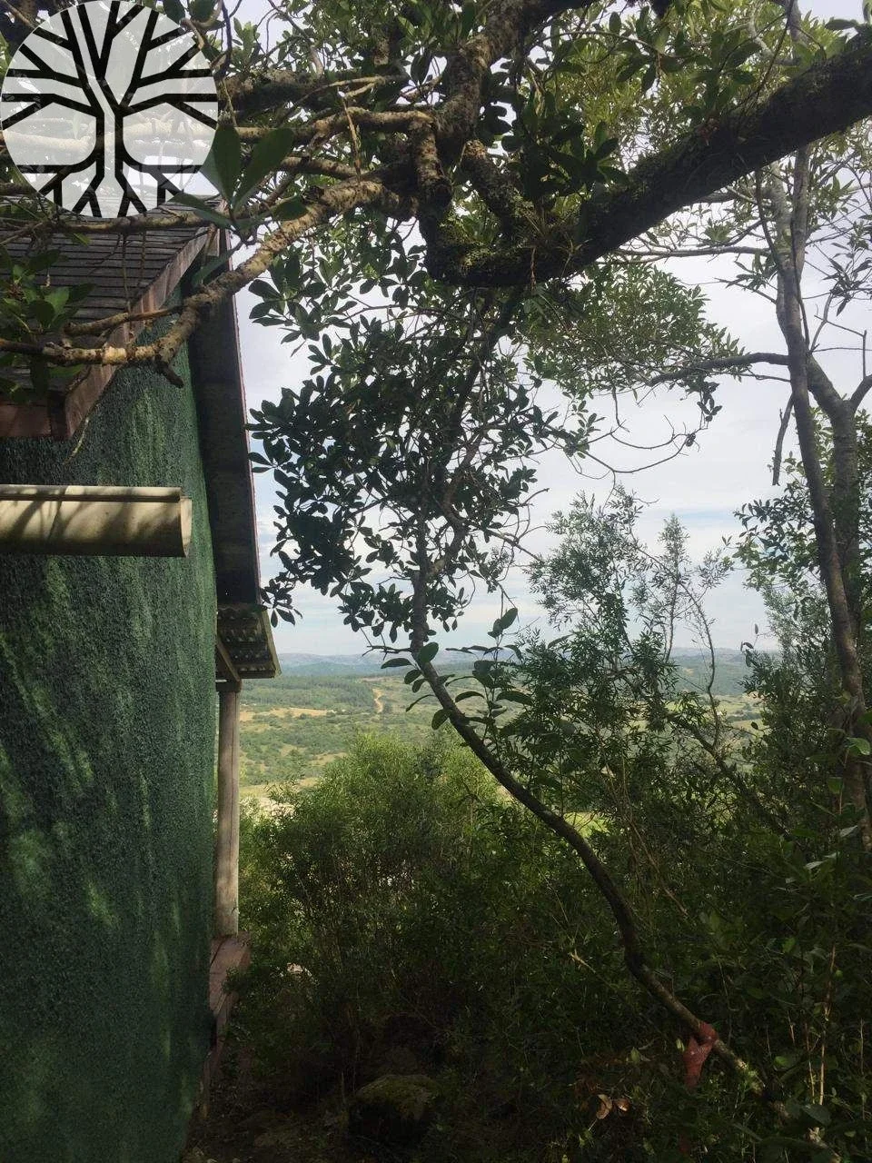 Chacra en venta de 6ha ubicado en la Coronilla - Maldonado - Imagen 2
