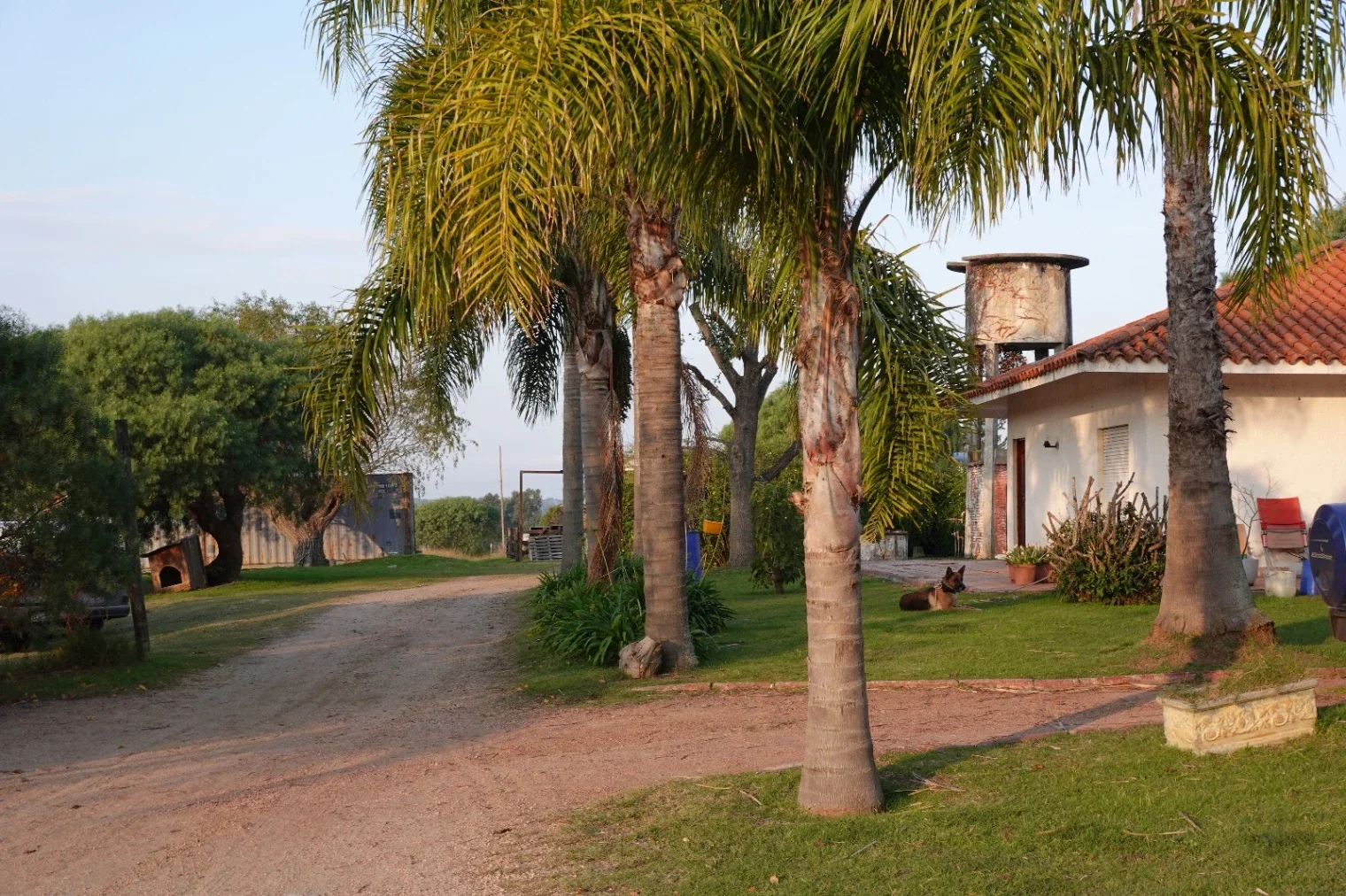 Chacra en venta de 37285m2 ubicado en Neptunia - Imagen 4