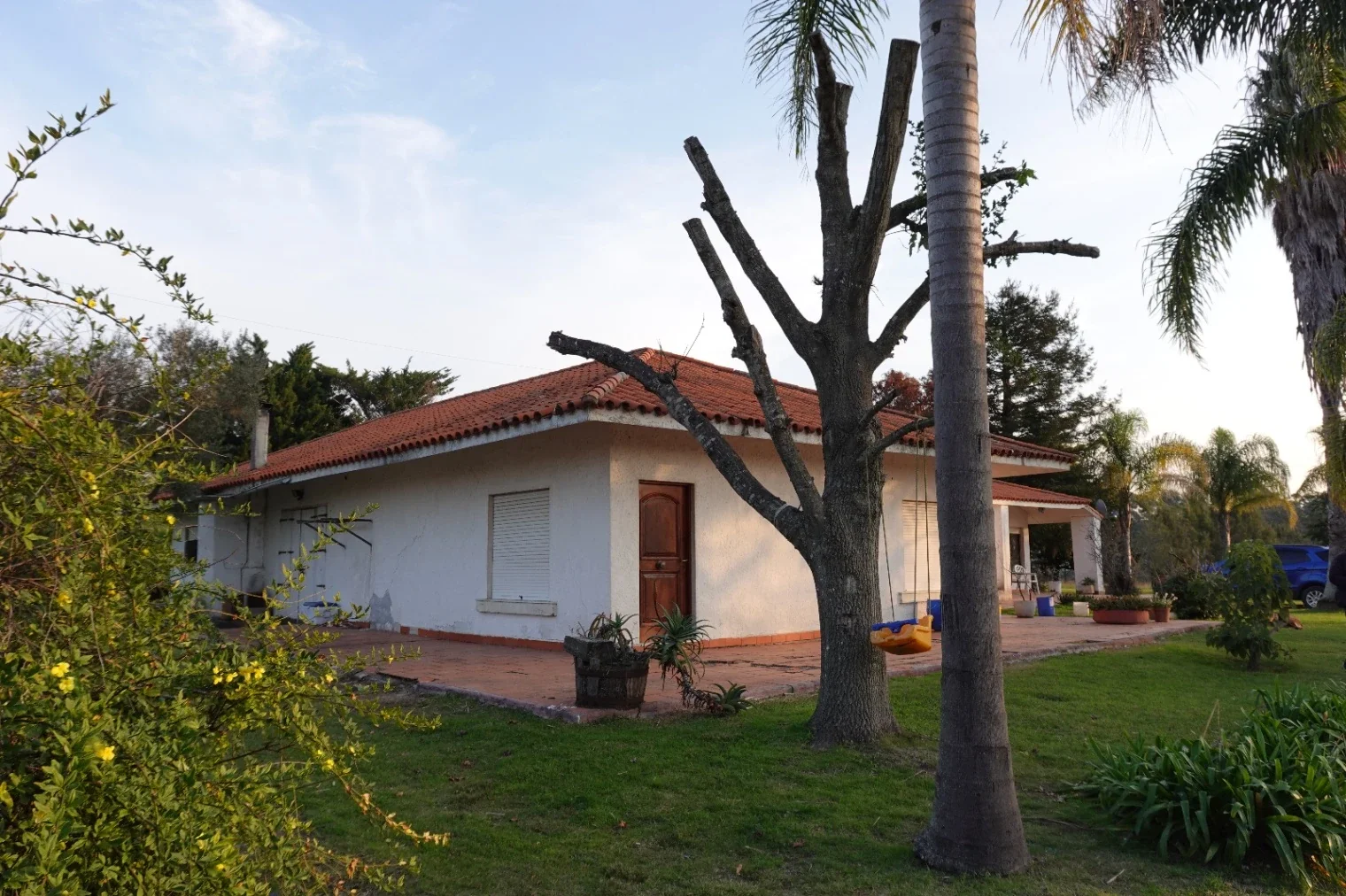 Chacra en venta de 37285m2 ubicado en Neptunia - Imagen 5