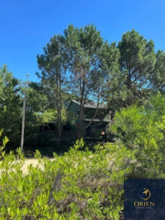 Casa 3 dormitorios en venta c/ cochera y patio en La Floresta - Imagen 4