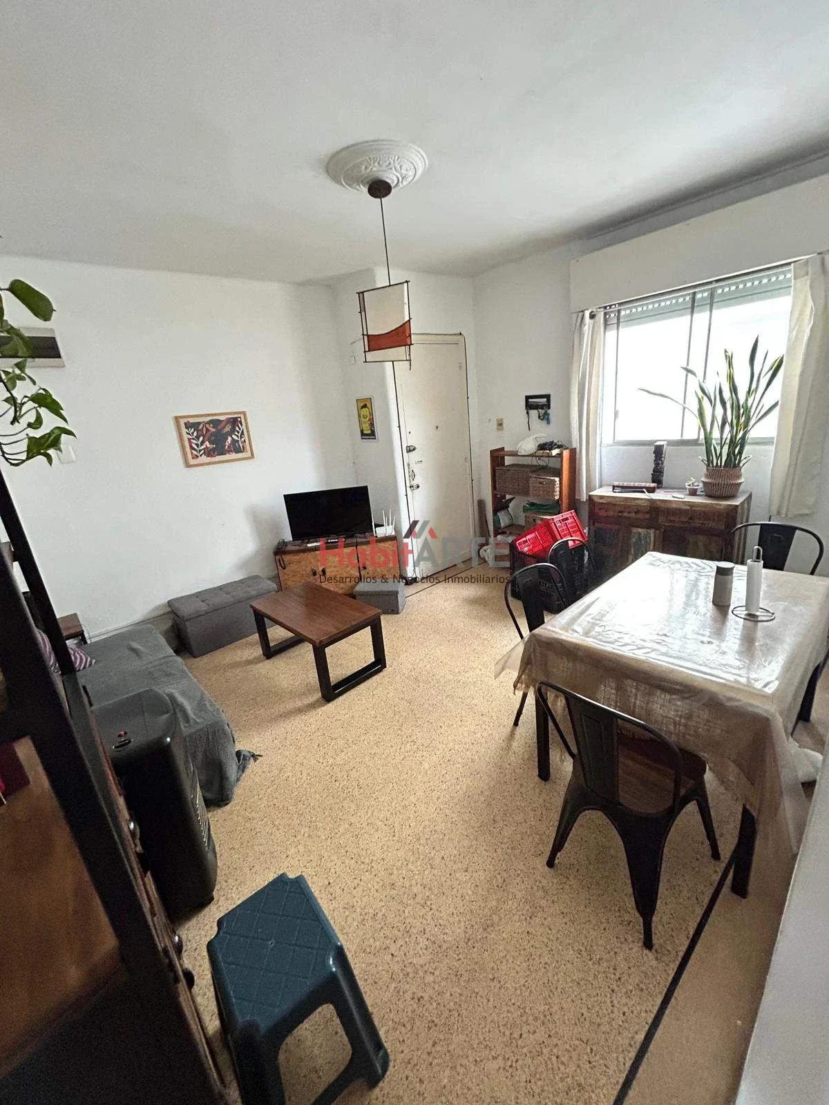 Apartamento en alquiler en Parque Rodó - Imagen 2
