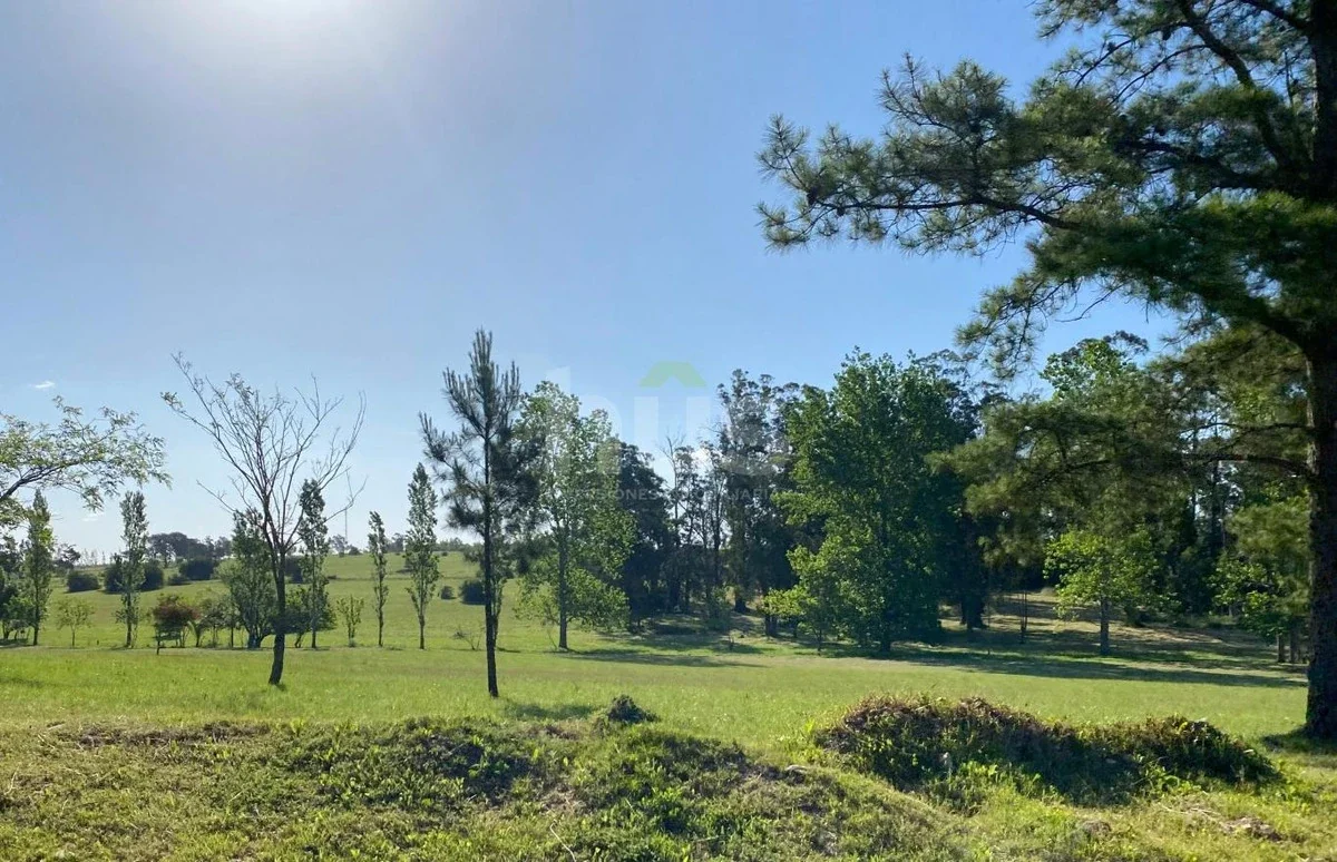 Oportunidad terreno en Olivos de los Horneros - Imagen 2