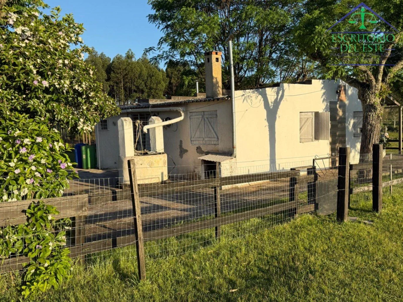 Chacra con 2 casas en zona de Curticeiras, posee 4.4 has - Imagen 4
