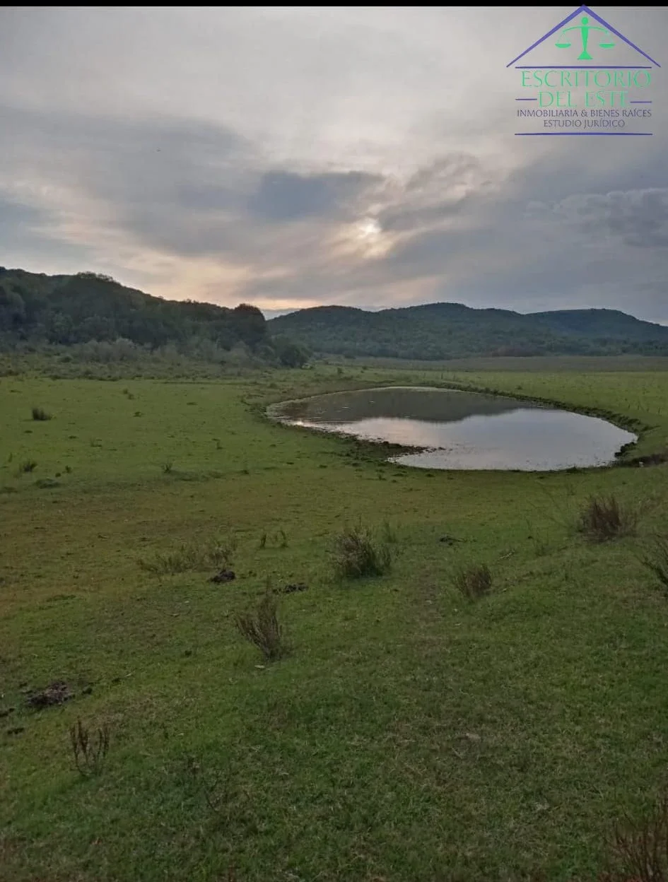 Campo completo en venta de 345 has ubicado en Tranqueras - Imagen 3