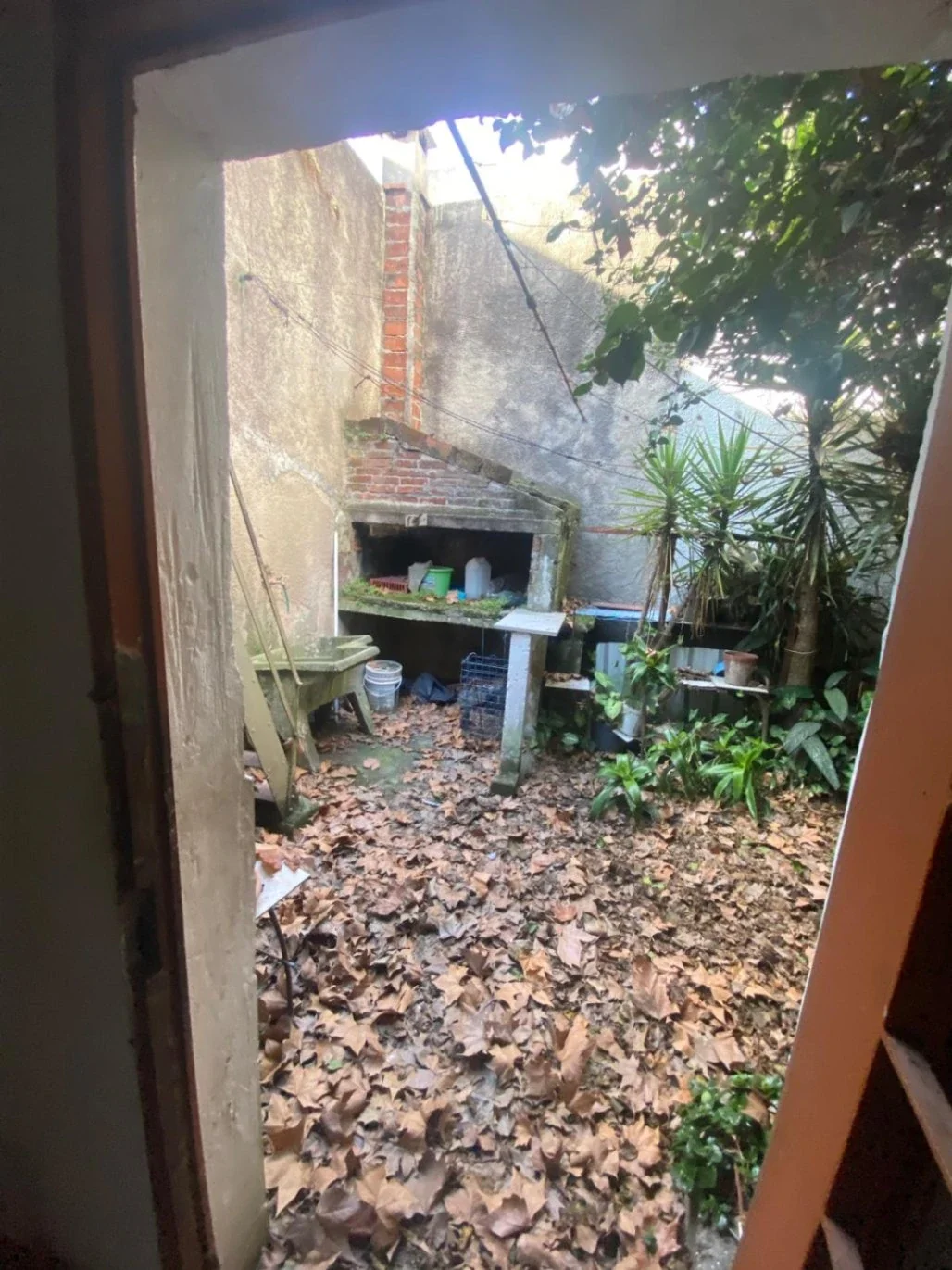 Parque Rodo — Casa para reciclar. Oportunidad de inversion. - Imagen 1