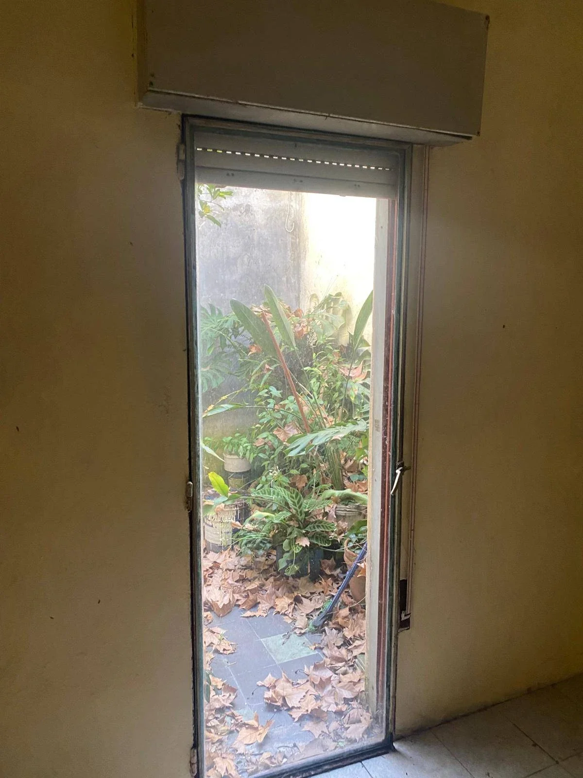 Parque Rodo — Casa para reciclar. Oportunidad de inversion. - Imagen 5