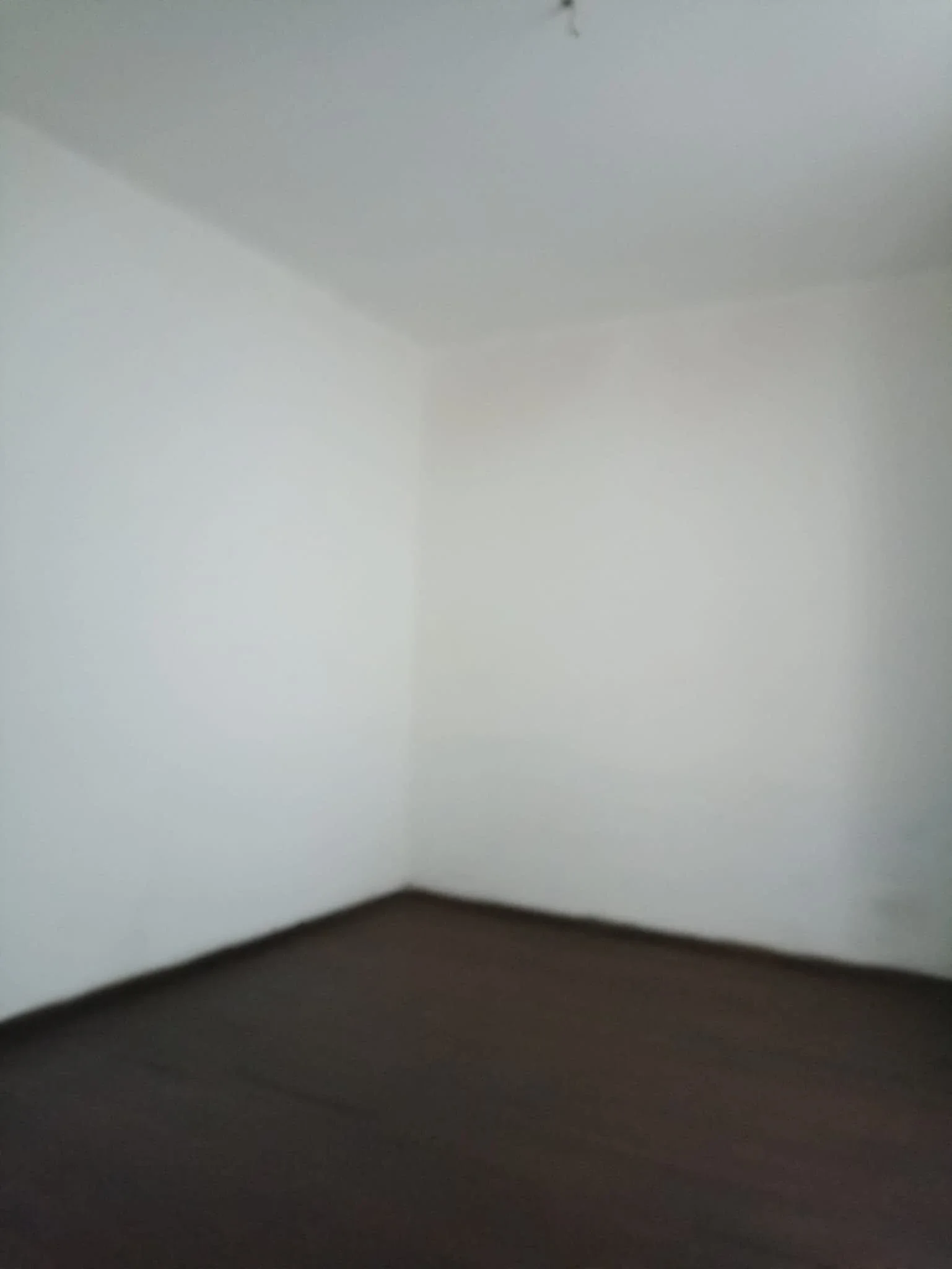 Casa en alquiler c/ cochera en Goes - Imagen 4