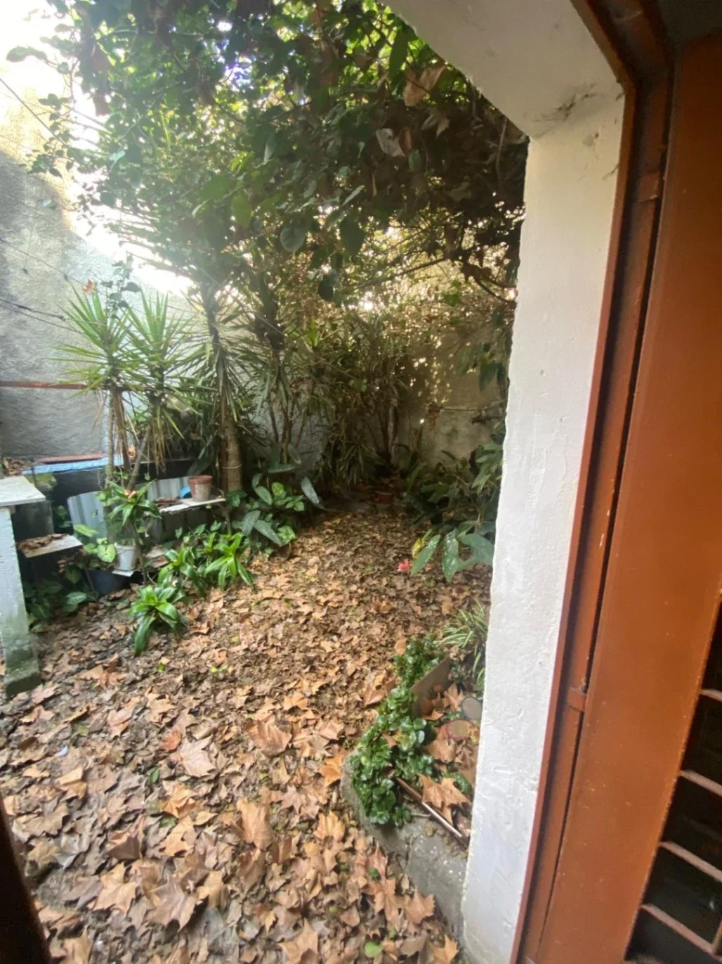 Parque Rodo — Casa para reciclar. Oportunidad de inversion. - Imagen 2