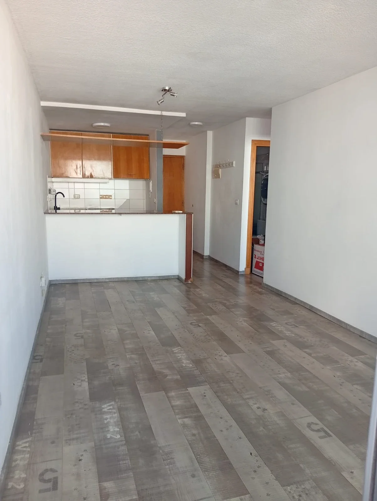 ALQUILER/ APARTAMENTO 1 DORMITORIO/ COCHERA/ BALCON/ PUNTA CARRETAS - Imagen 1