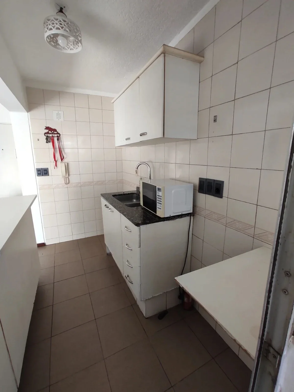 ALQUILER APARTAMENTO 1 DORMITORIO BALCON PARQUE RODO - Imagen 5