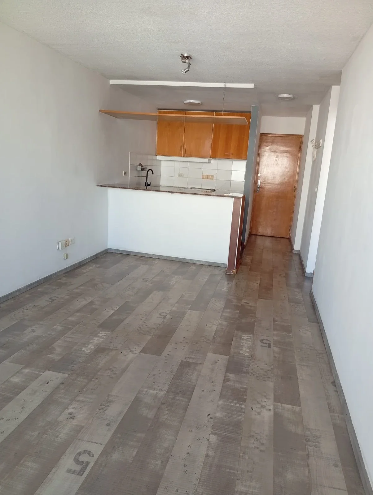 ALQUILER/ APARTAMENTO 1 DORMITORIO/ COCHERA/ BALCON/ PUNTA CARRETAS - Imagen 2