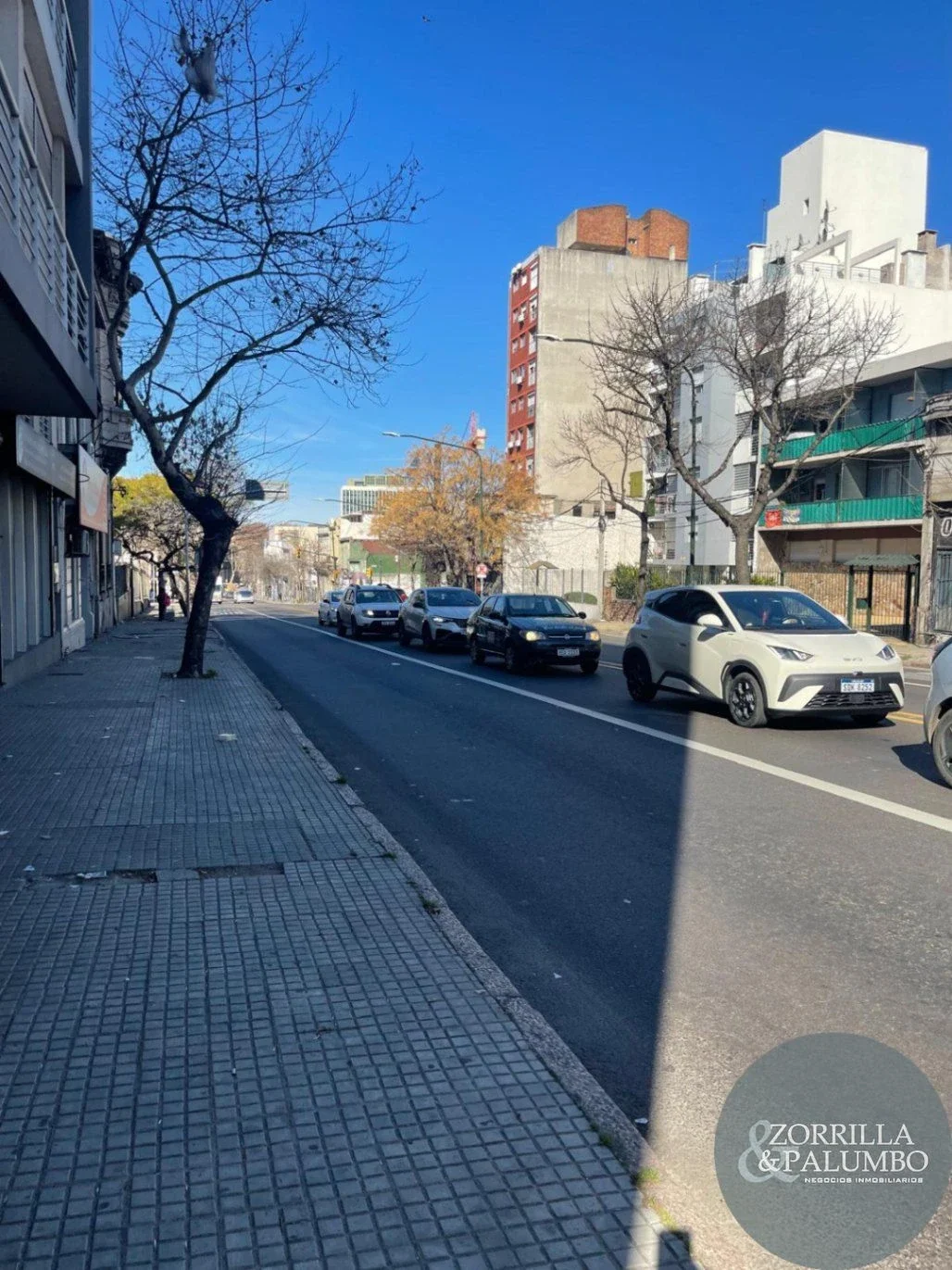 IMPORTANTE TERRENO DE 767 M² SOBRE AV. AGRACIADA – IDEAL DESARROLLO - Imagen 2