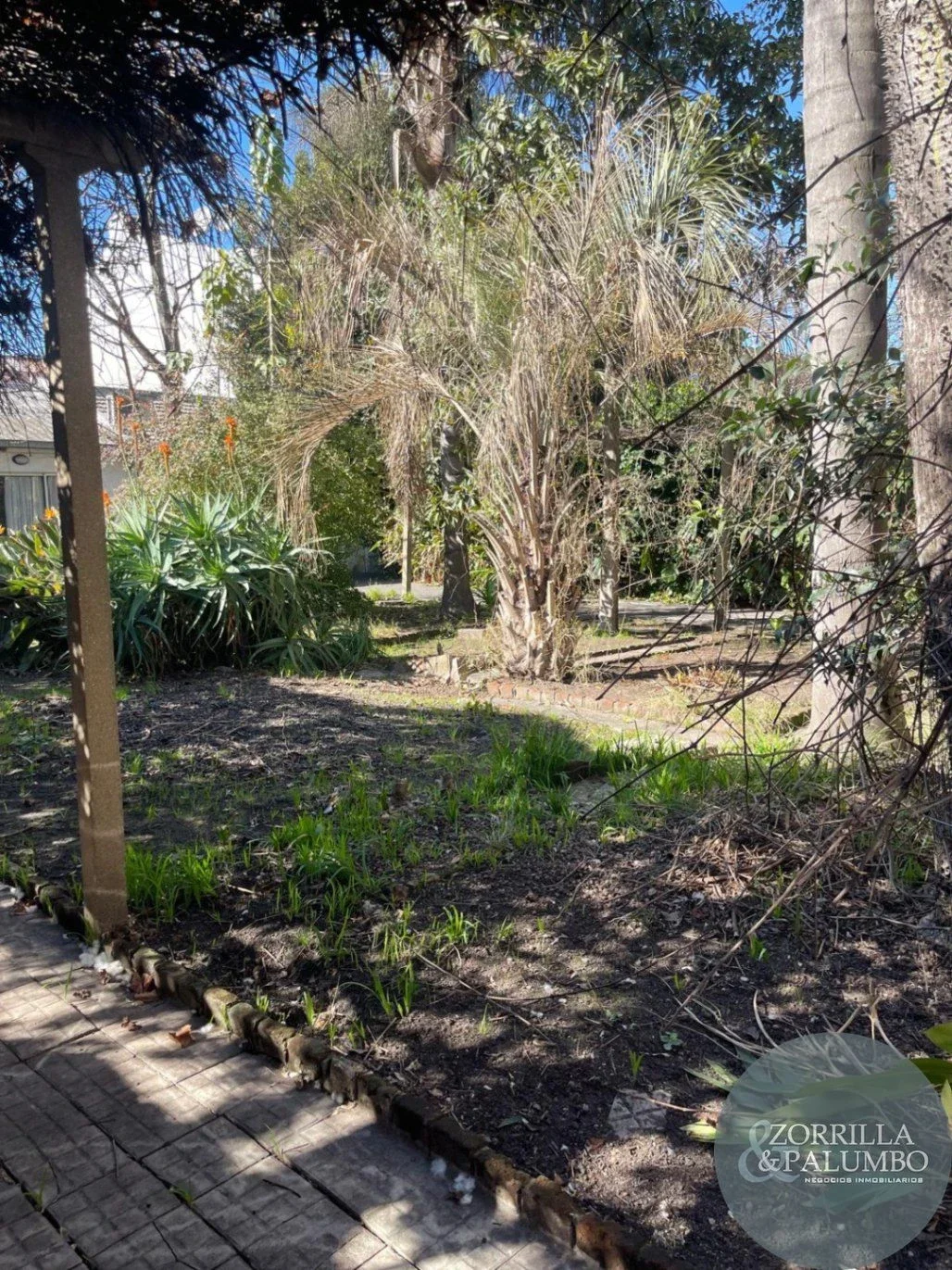 IMPORTANTE TERRENO DE 767 M² SOBRE AV. AGRACIADA – IDEAL DESARROLLO - Imagen 3
