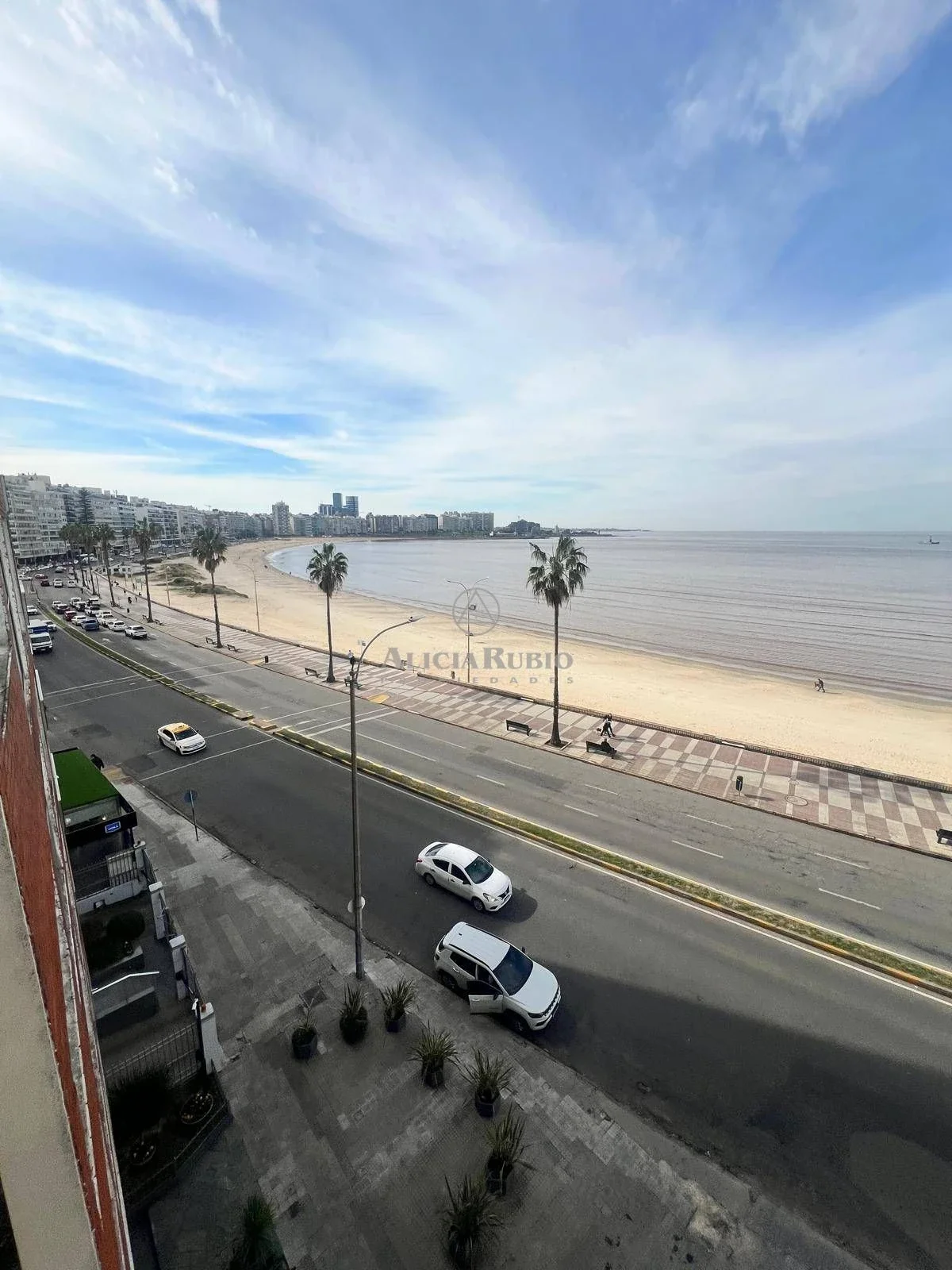 RAMBLA y PLAZA GOMENSORO. PISO MEDIO. 245 MTS. 4 DORM + 4 BAÑOS. SERV.COMP. TERRAZA CON PARRILLERO.2 GJES INDEPENDIENTE. DEL 2008 - Imagen 5