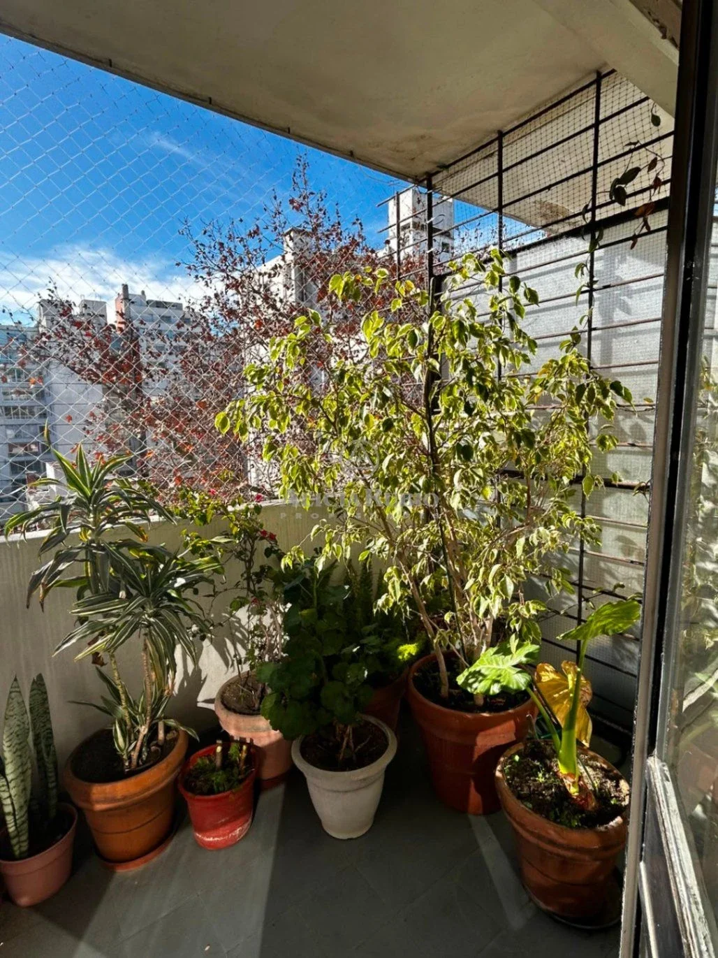 VENTA APARTAMENTO. 4 DORMITORIOS. GRAN TERRAZA. GARAJE. 155 M². SCOSERIA Y ELLAURI - Imagen 4