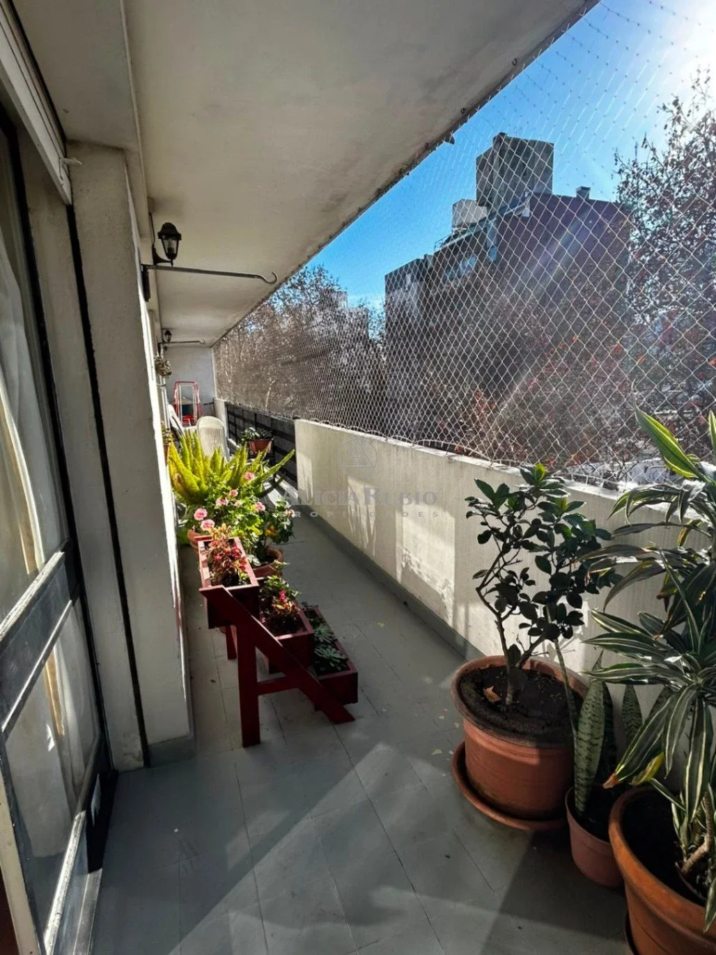 VENTA APARTAMENTO. 4 DORMITORIOS. GRAN TERRAZA. GARAJE. 155 M². SCOSERIA Y ELLAURI - Imagen 2