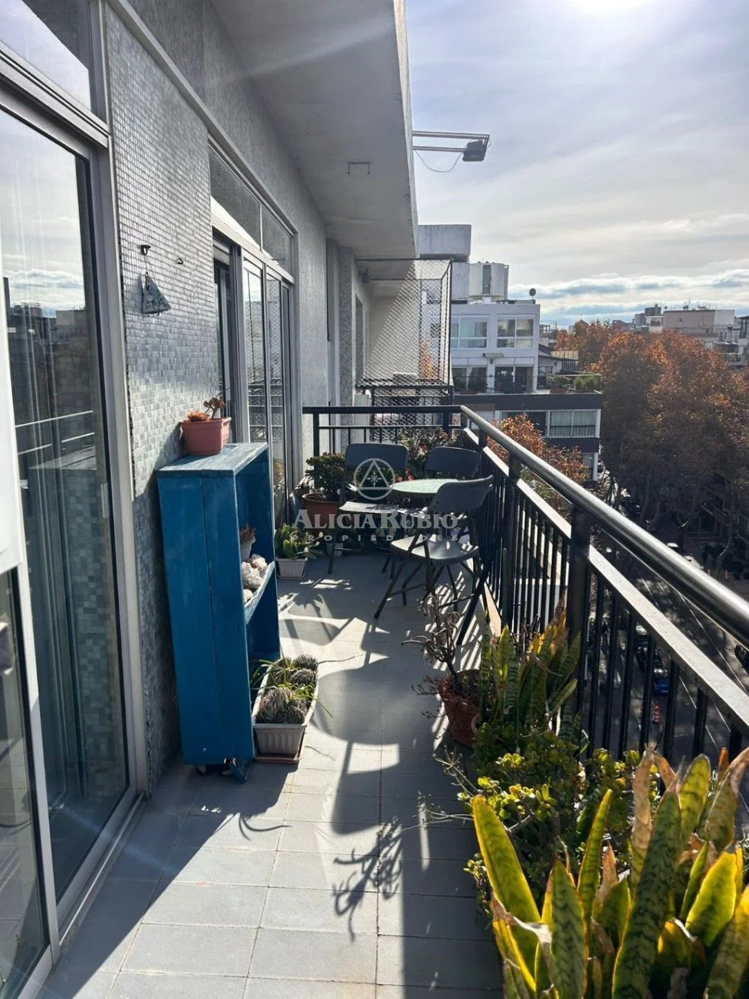 MASINI Y RAMBLA . VISTA MAR! 100 MTS + TERRAZA. GARAJE. GC$14.500. - Imagen 2